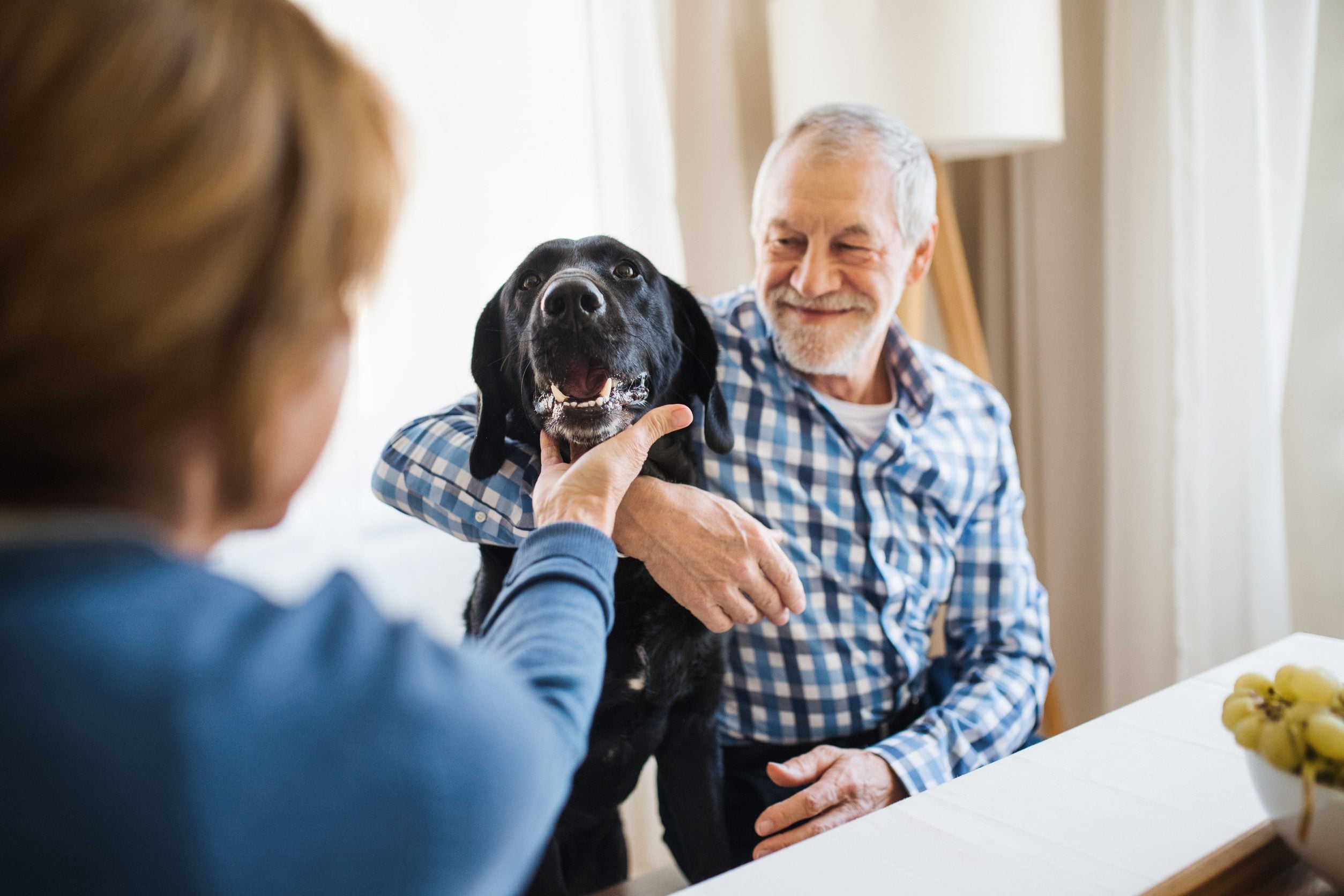 A senior couple sitting with their emotional support animal in Lewiston, ME.