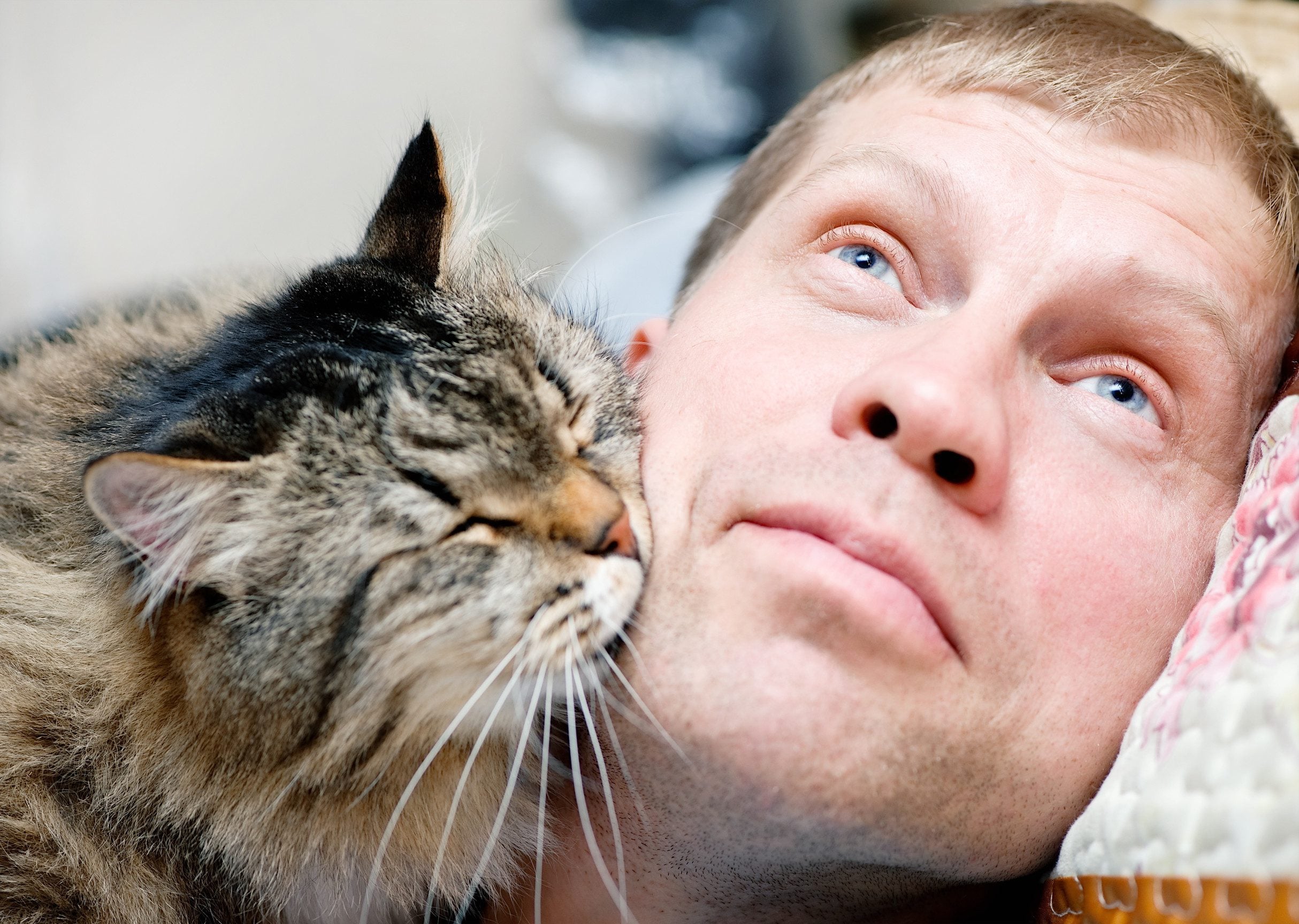 An emotional support animal lovingly kissing their owner in Fort Wayne, IN.