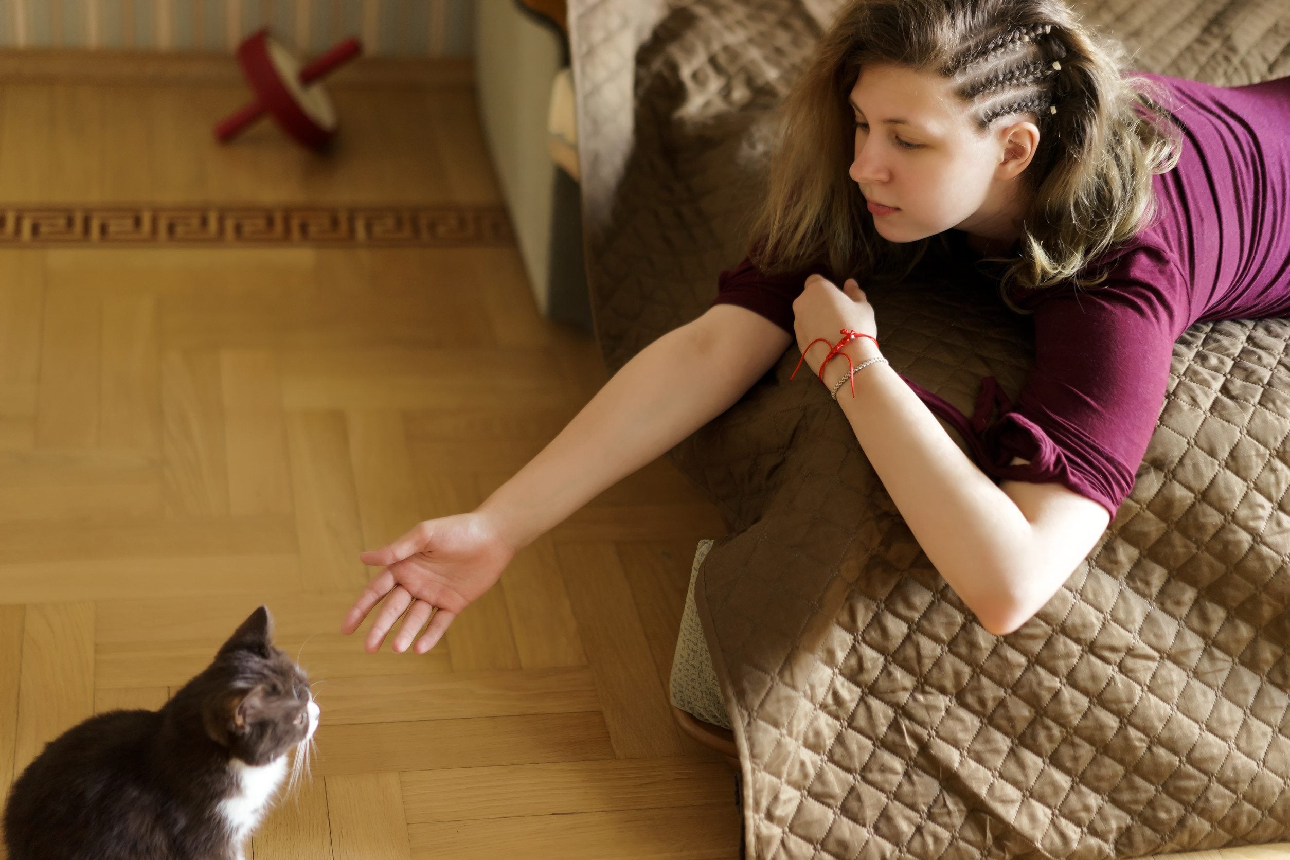 A Shreveport resident reaching to their cat.
