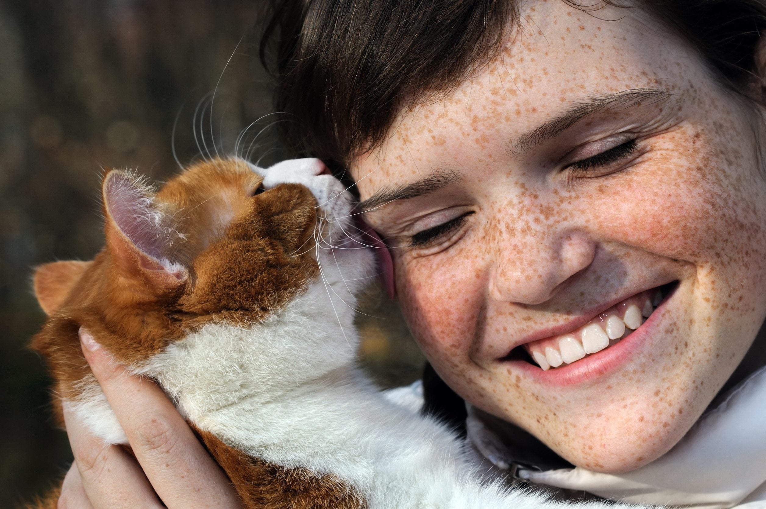 An emotional support animal (ESA) cat licking their owner’s face to show affection in Bellevue, NE.