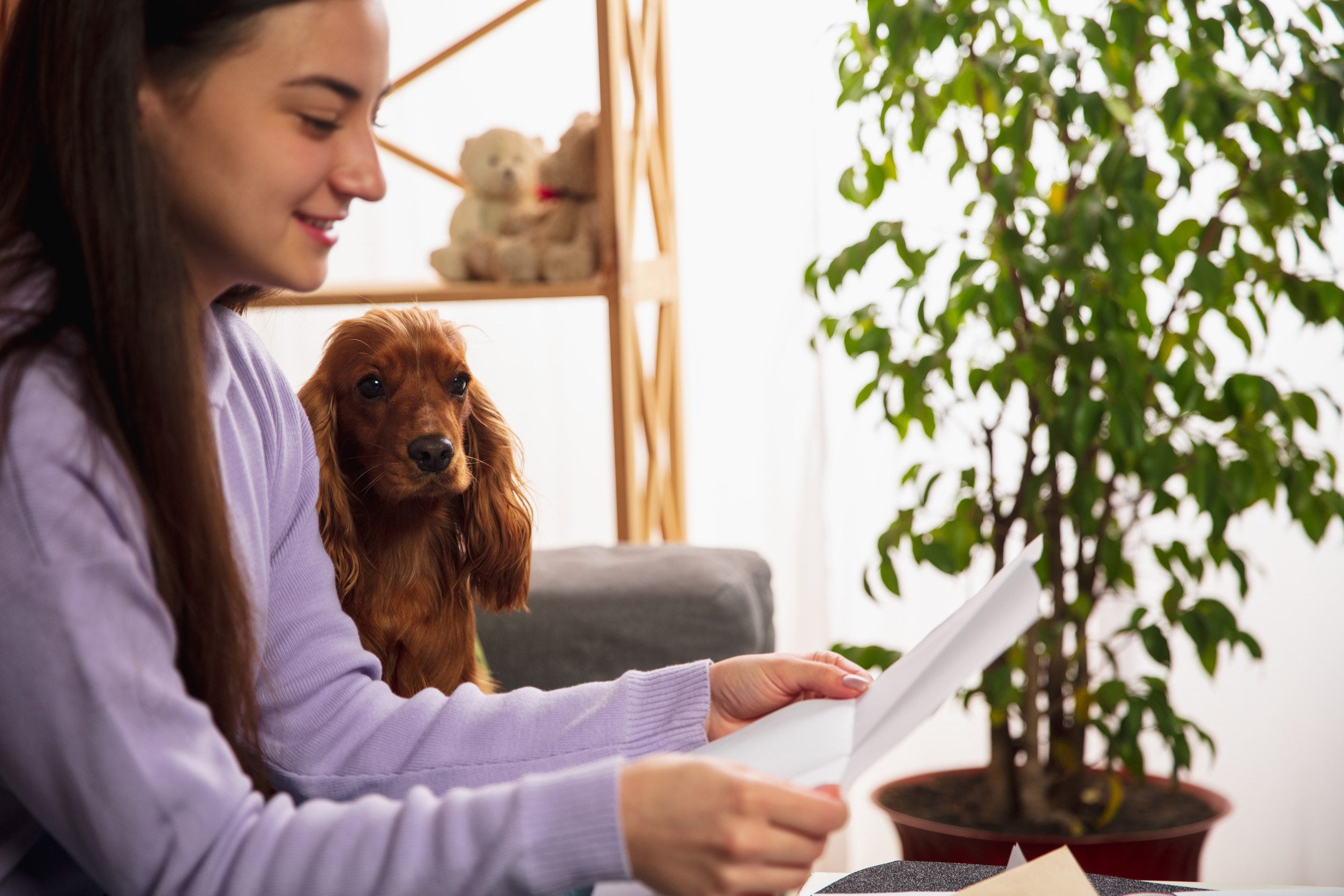 A teenager reading an ESA letter at the office of a Billings counseling center.