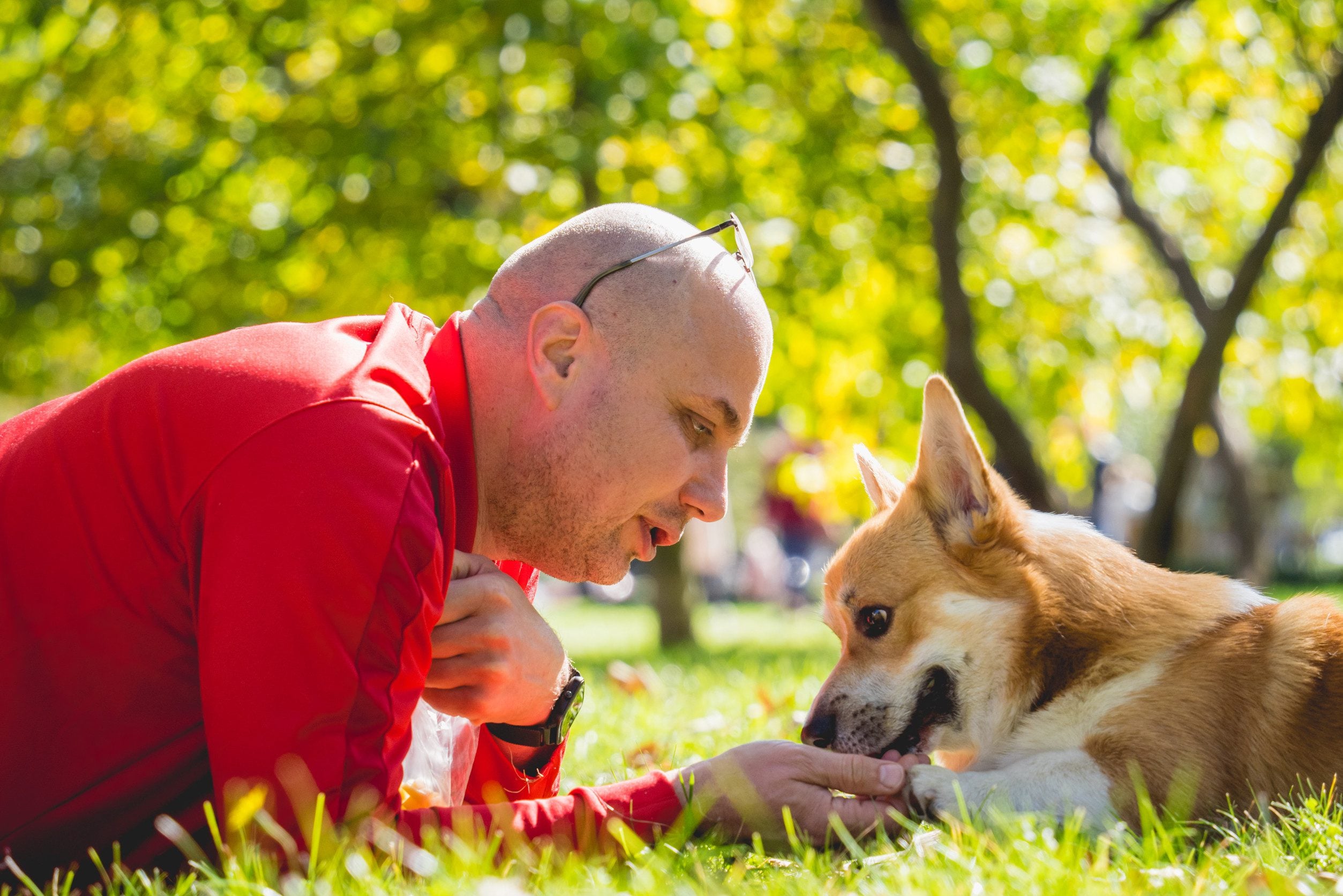 A man in a red jacket lying on the grass with his emotional support animal in a park in South Bend, IN.