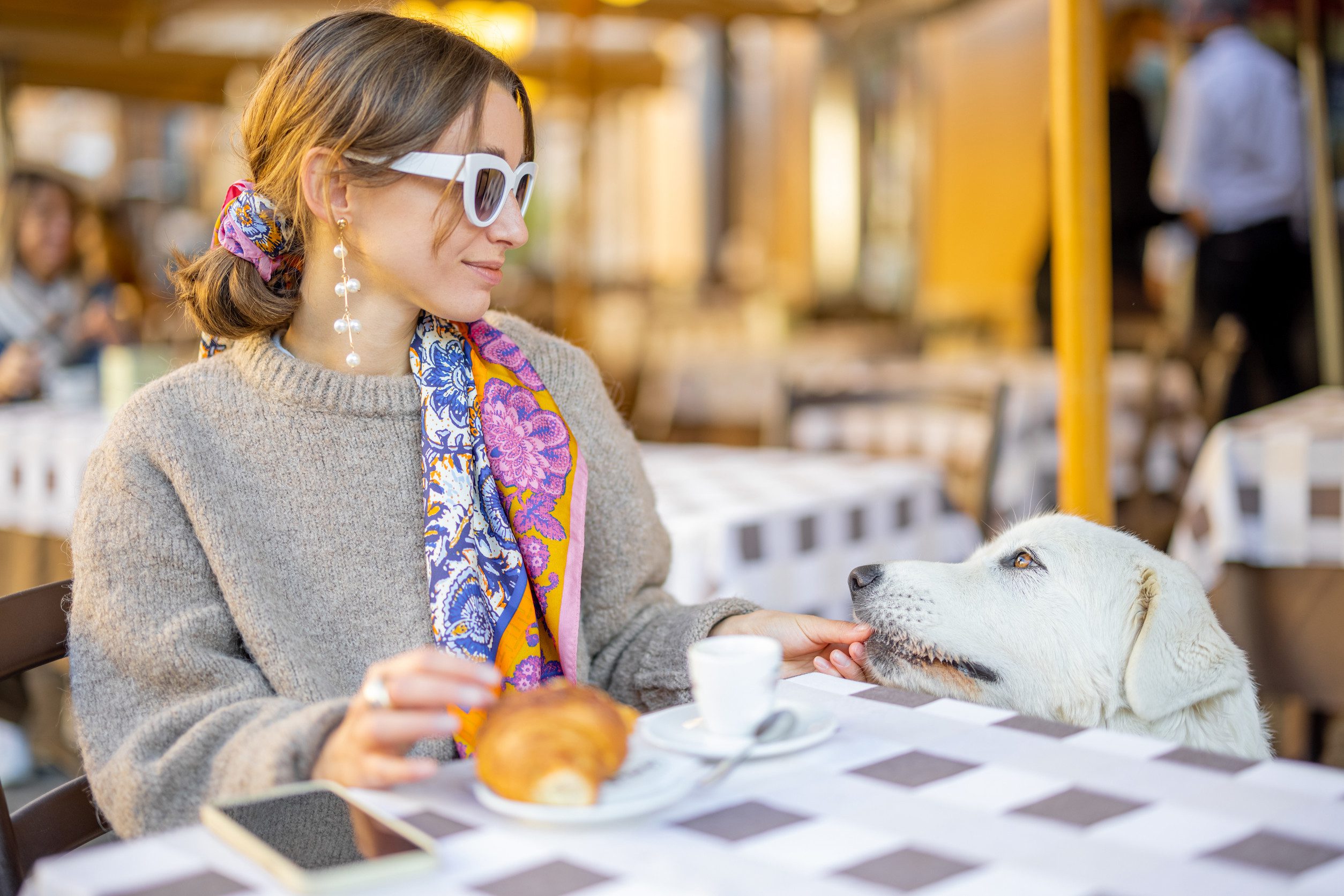 A psychiatric service dog with an ESA letter in a restaurant with its handler in Springfield, MO.
