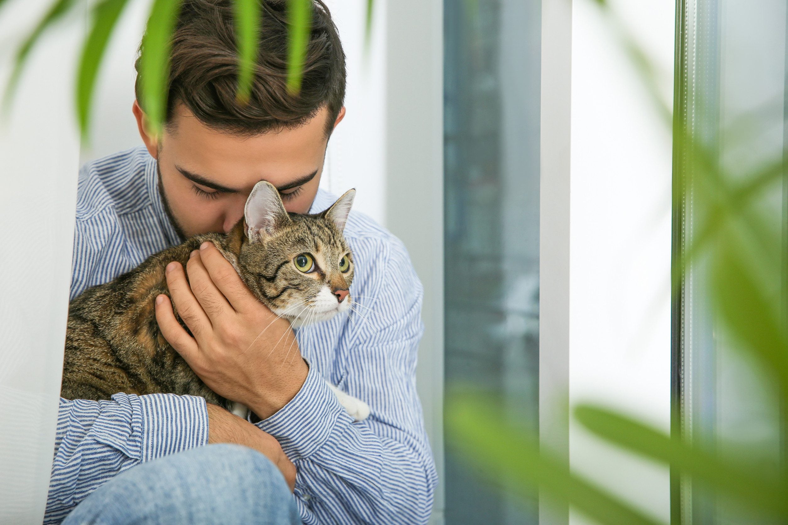 A man in a striped shirt sitting by a window, hugging his emotional support animal in Riverside, CA.