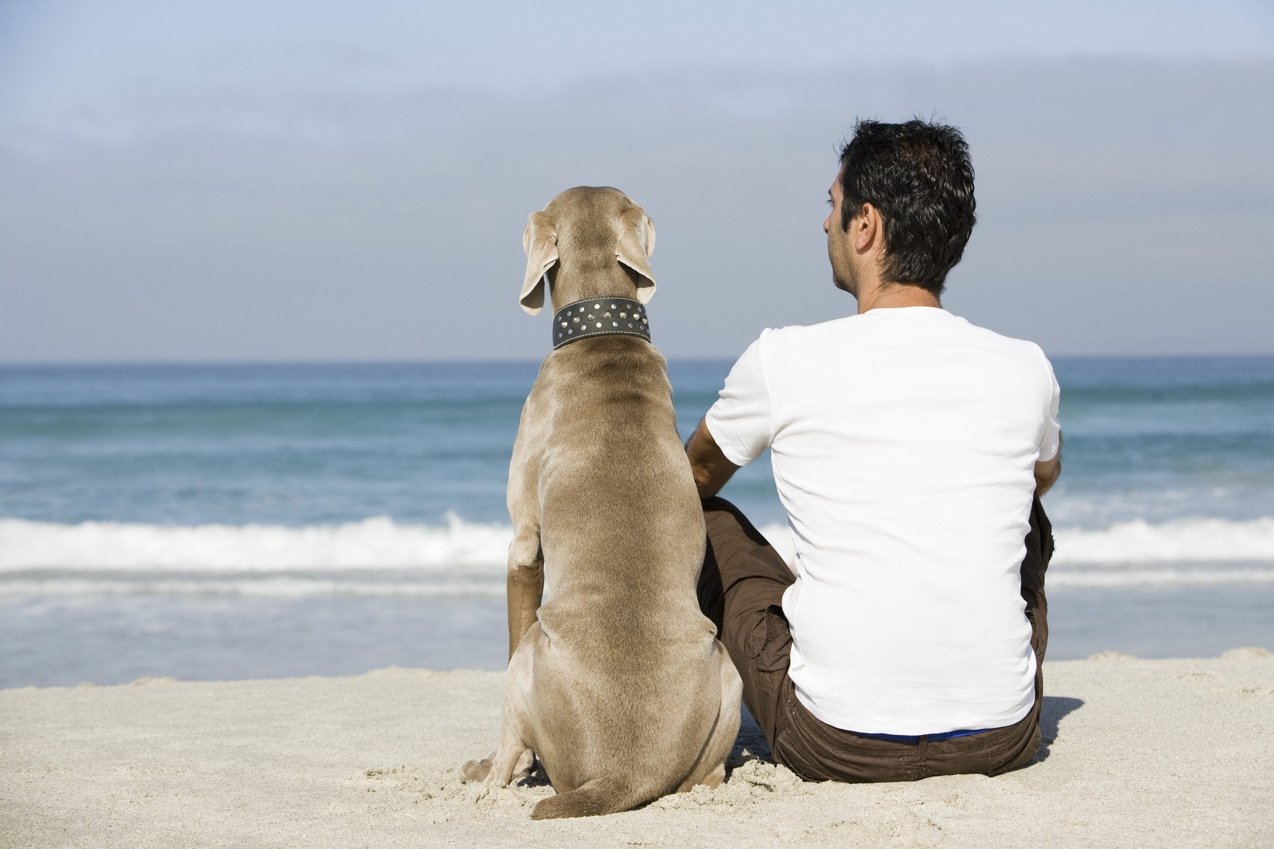 A man sitting on the beach with his emotional support animal, both looking out at the ocean in Wichita, KS.