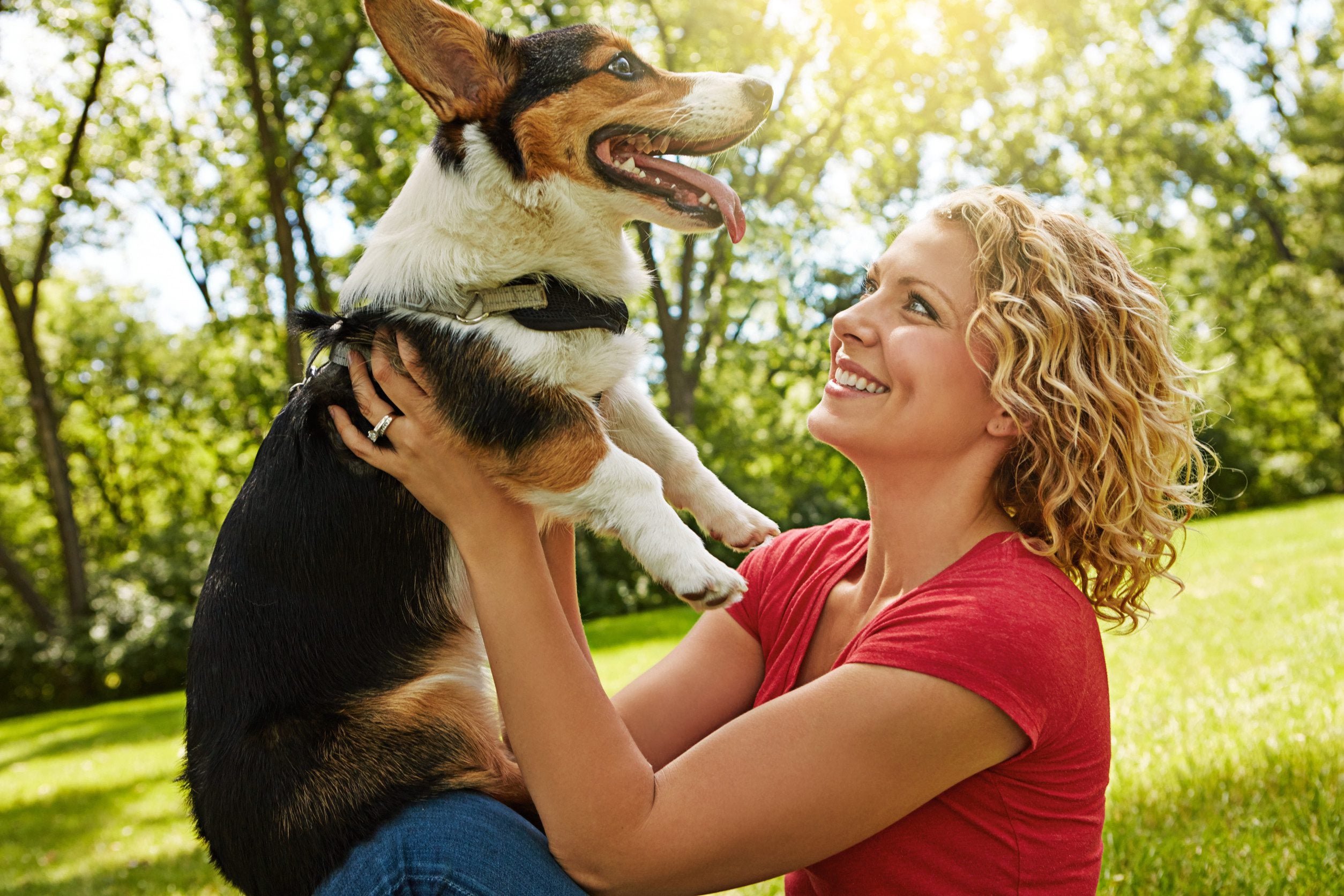 A happy woman holding her emotional support animal in her arms while sitting outdoors on a sunny day in Missoula, MT.