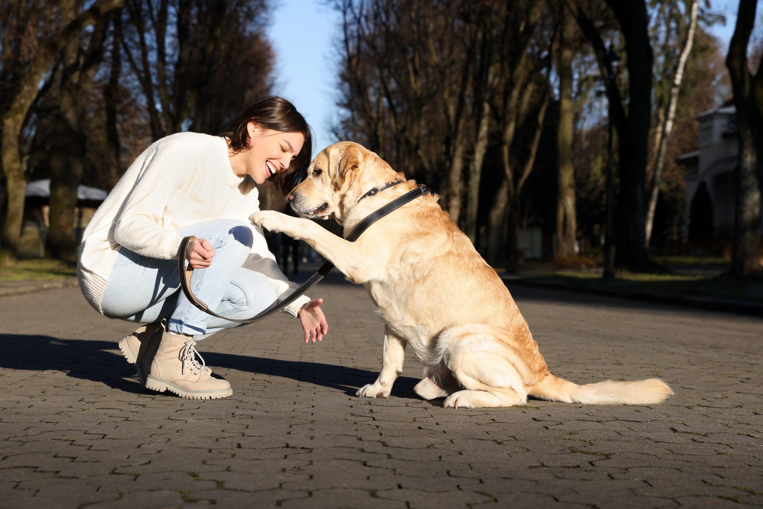 A happy woman kneeling on a pathway in a park while her emotional support animal extends a paw toward her in Riverside, CA.