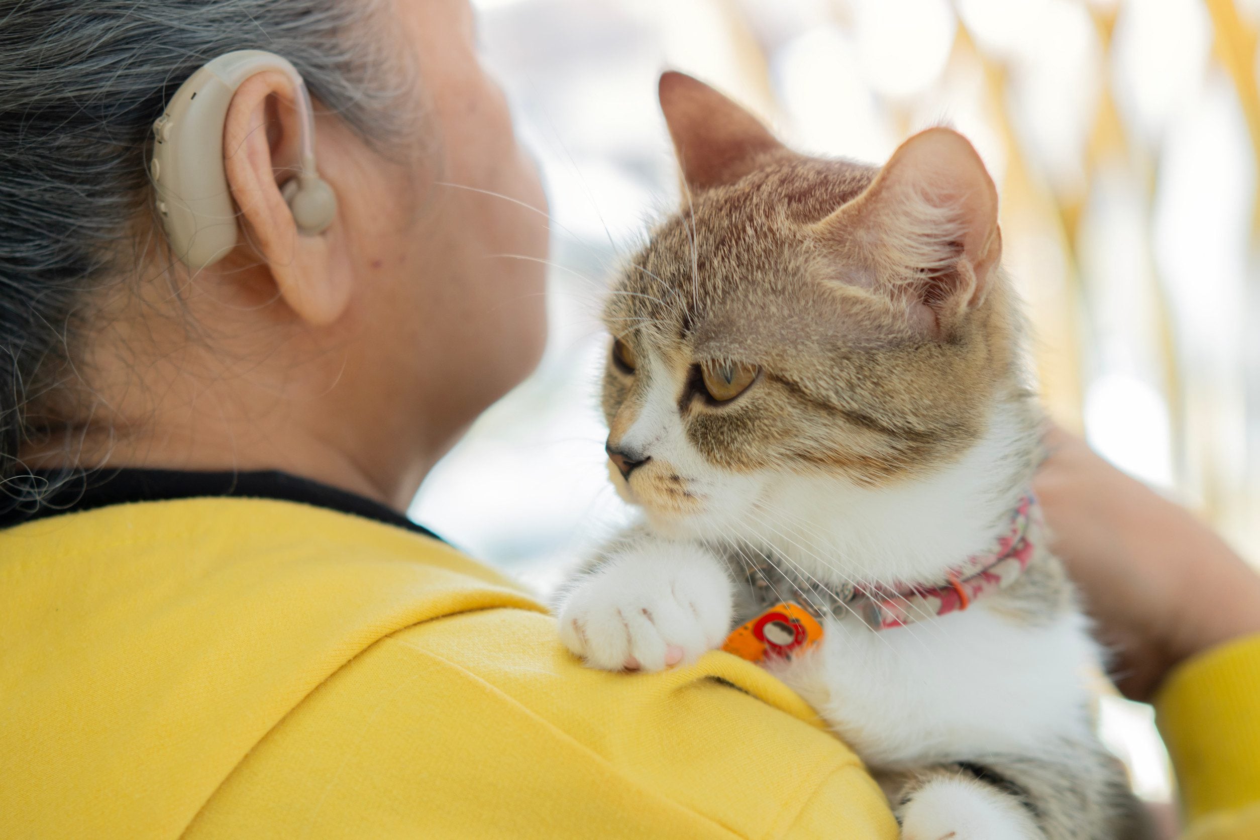 A woman in a yellow sweater holding an emotional support animal in Louisville.