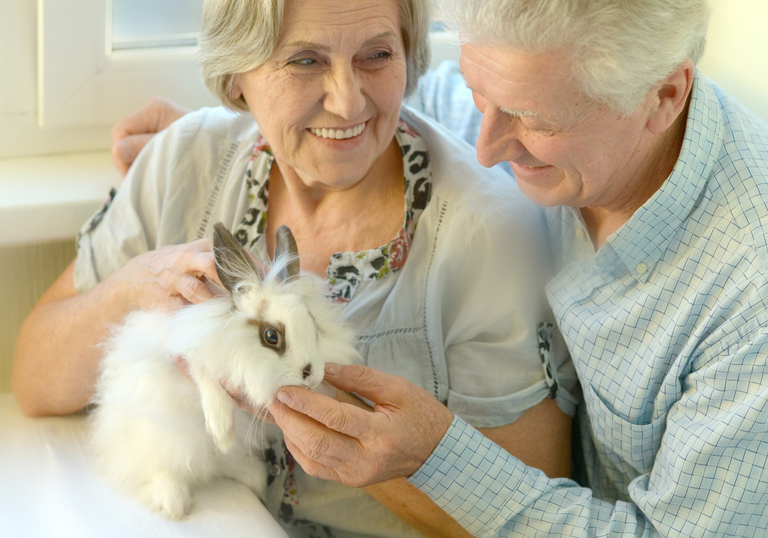 An elderly couple happily holding their emotional support animal in a home in Hilo, HI.