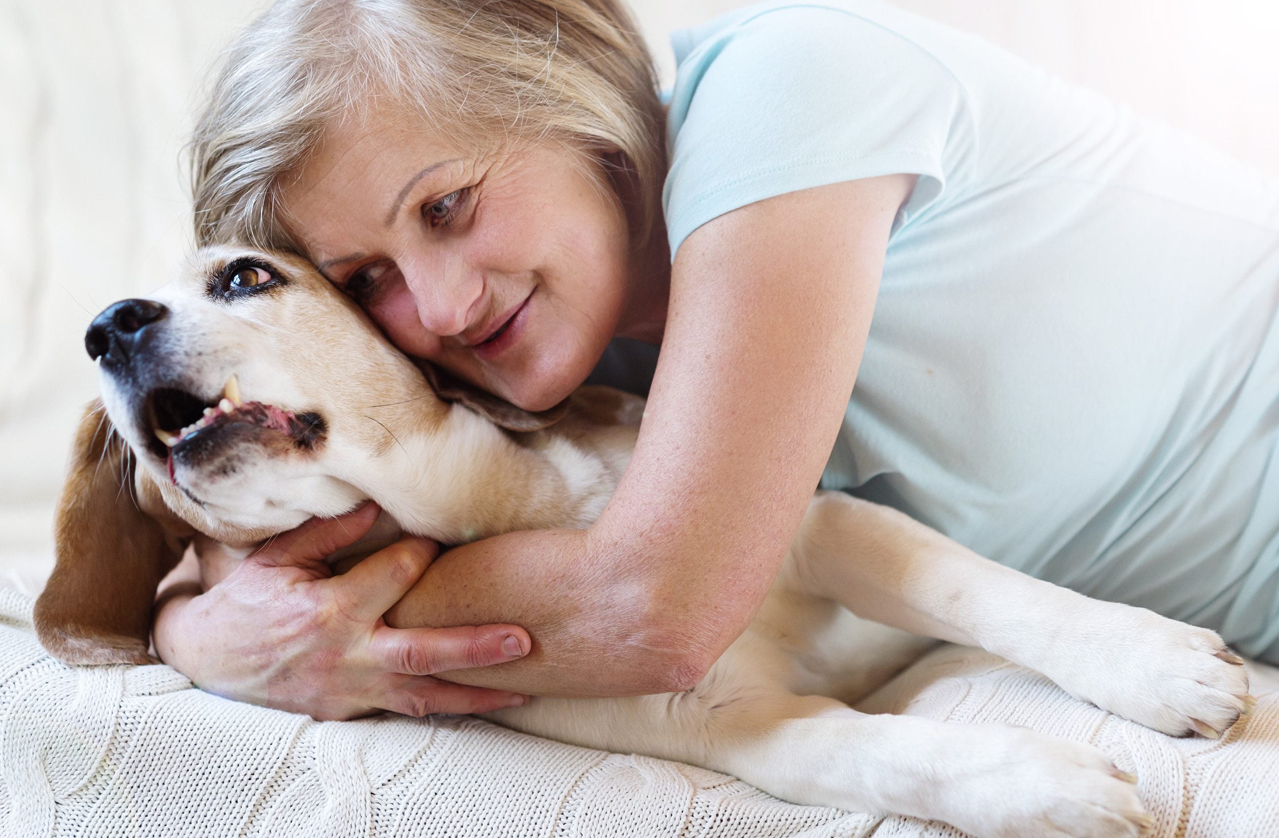 A calm emotional support animal with a red collar resting on the shoulder of an elderly woman wearing a hearing aid in Bridgeport, CT.