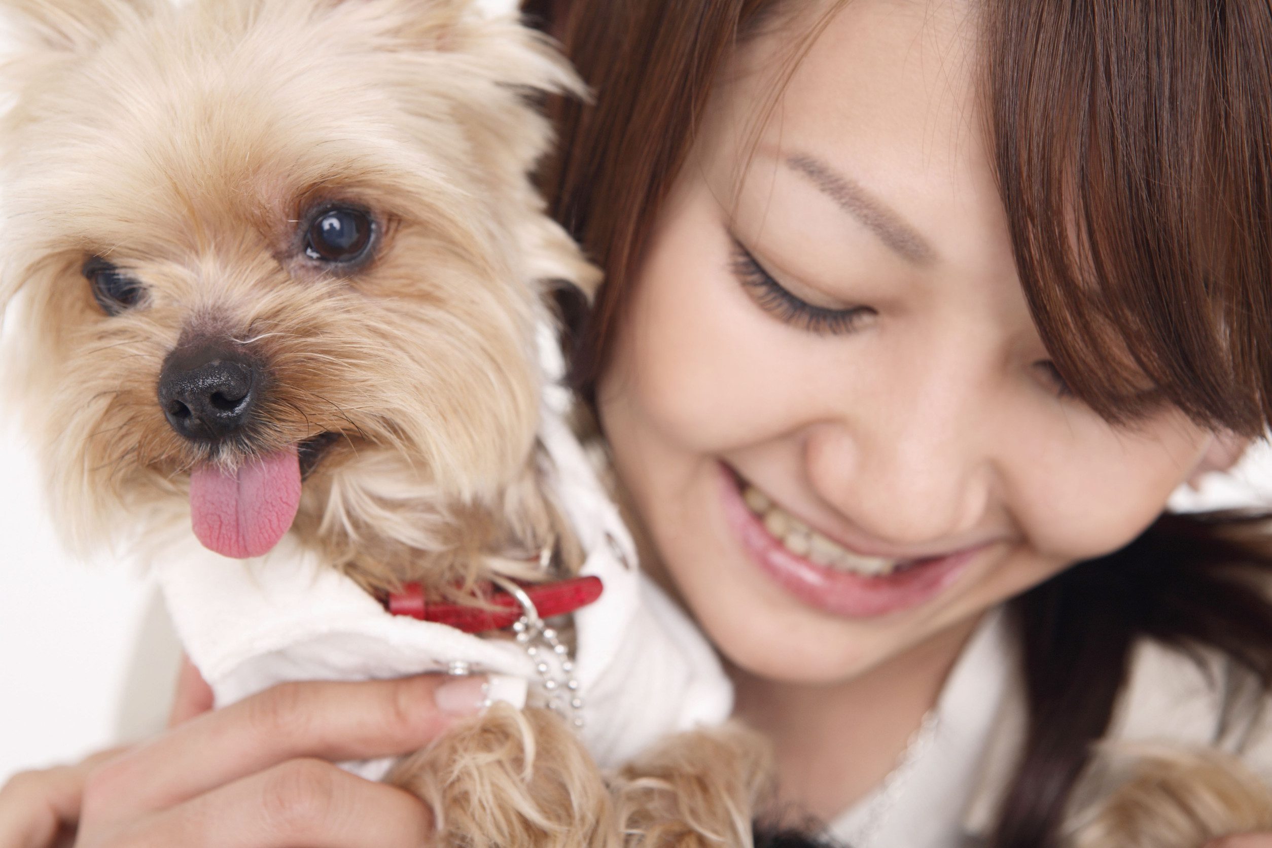 A happy Bowling Green local and dog after learning how to get an ESA letter.
