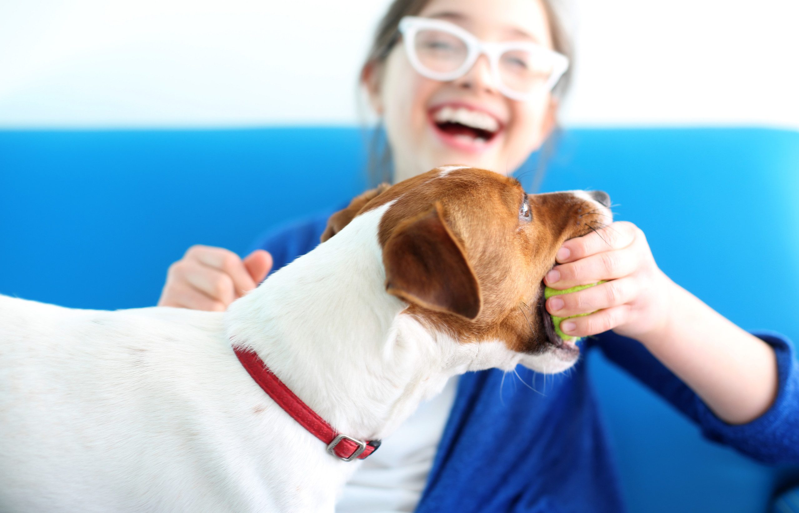 A girl playing with her emotional support animal in Dover, DE.