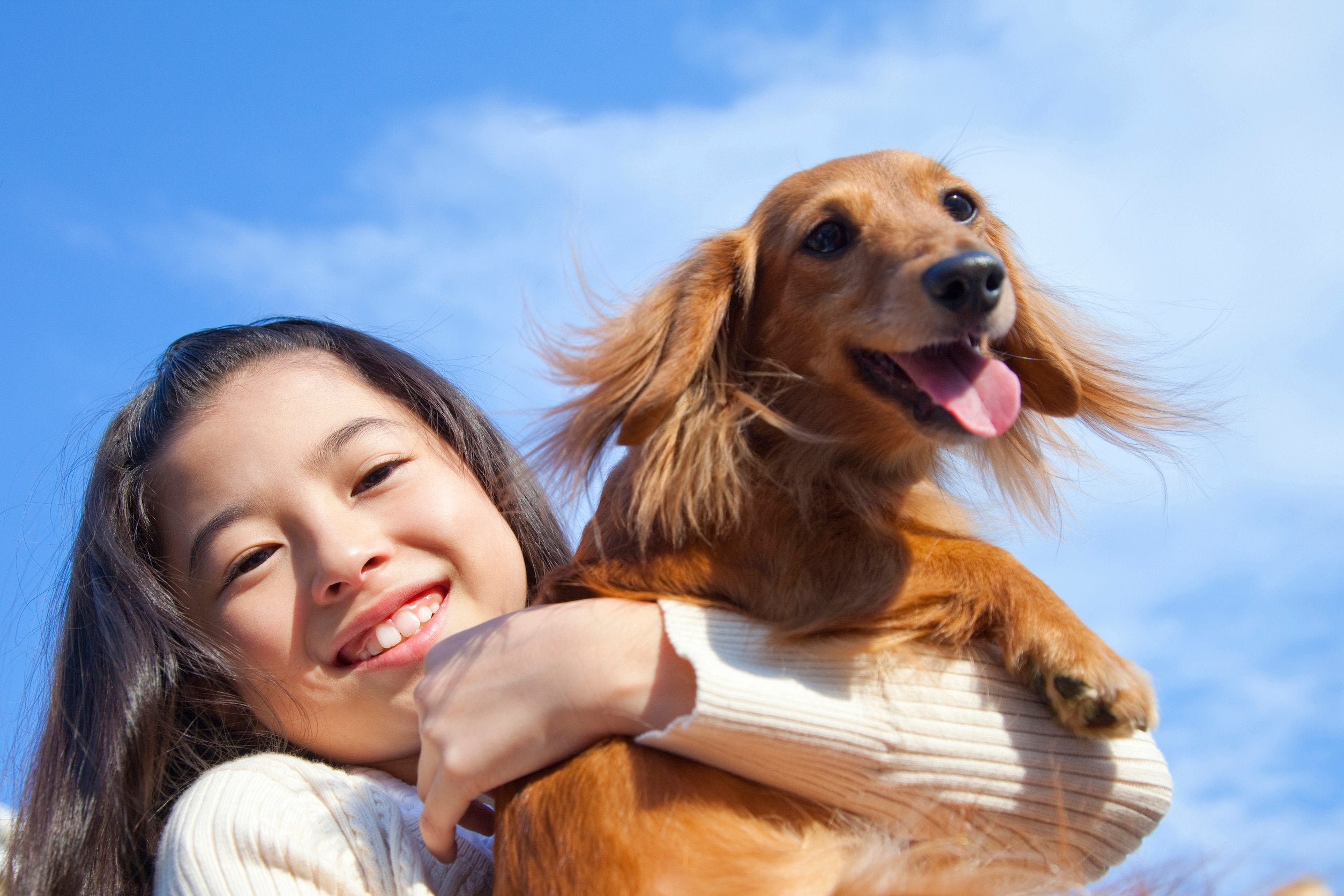 A young girl in Portland holding a miniature dachshund ESA.