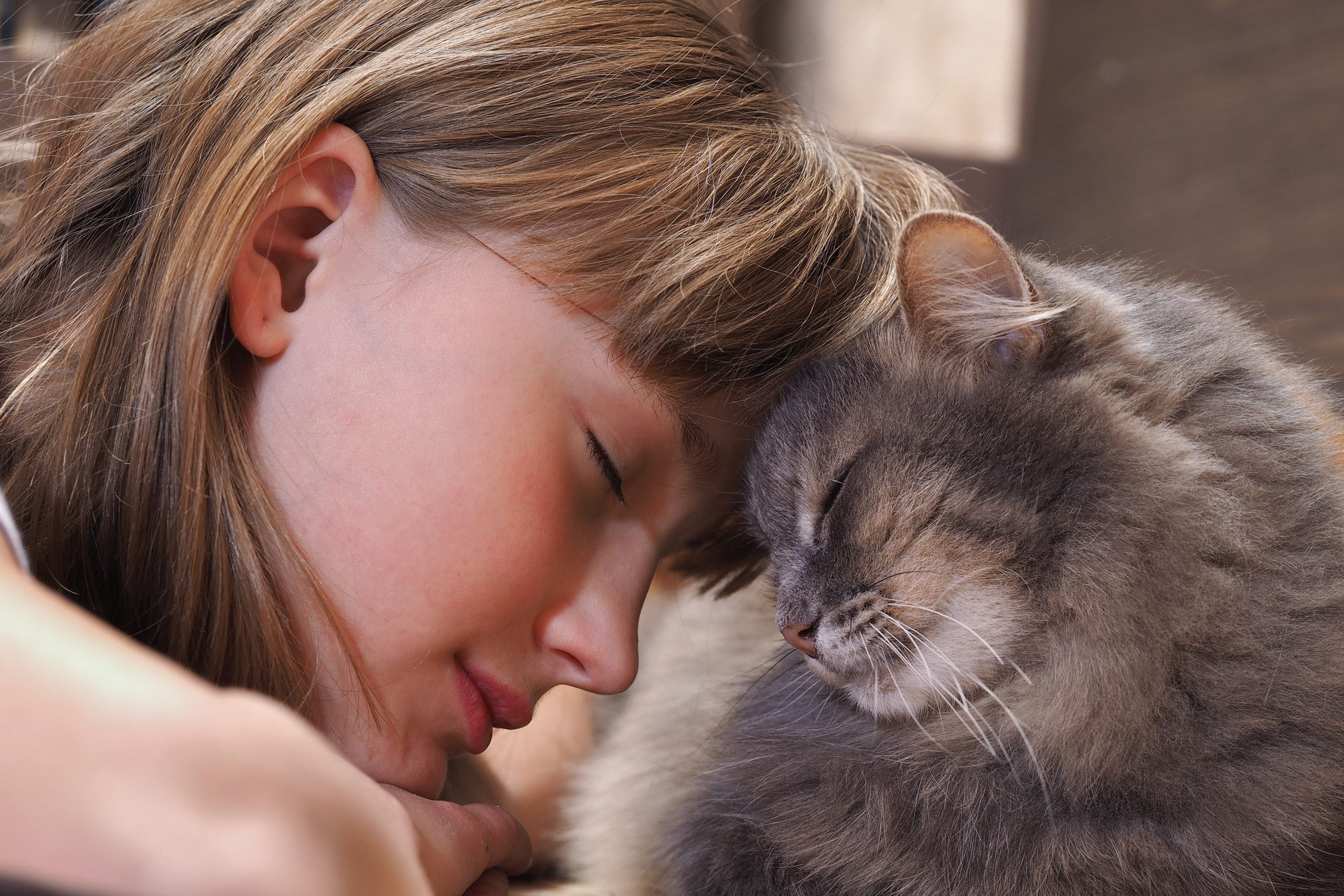 Child rubbing head with emotional support animal.
