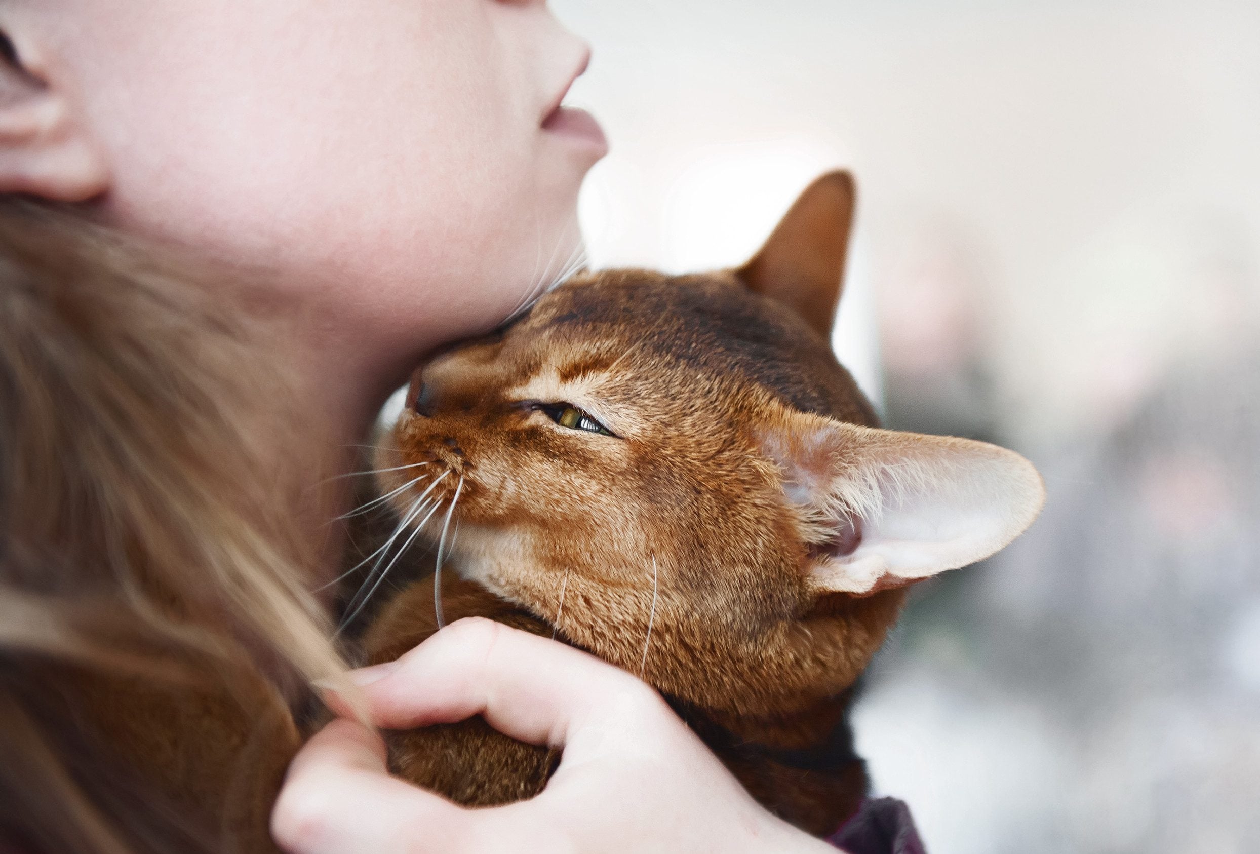 A close-up of a woman holding her emotional support animal near her face in Fort Collins, CO.
