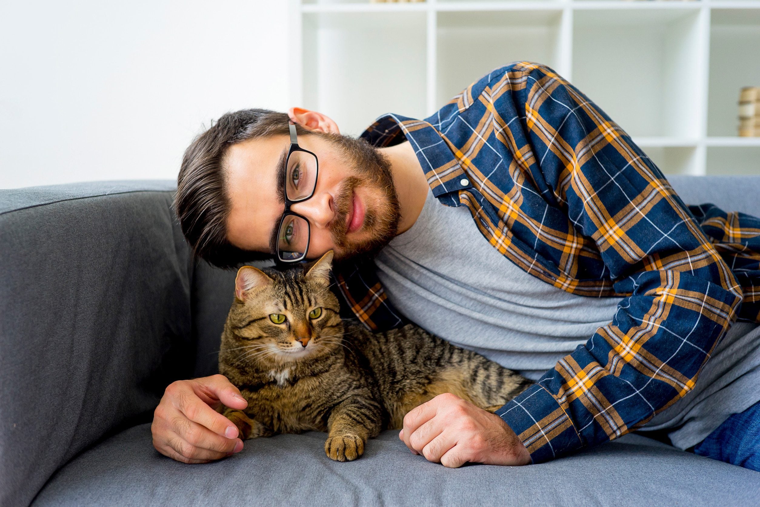 A man in a plaid shirt cuddling his emotional support animal on a comfortable grey couch in Davenport, IA.