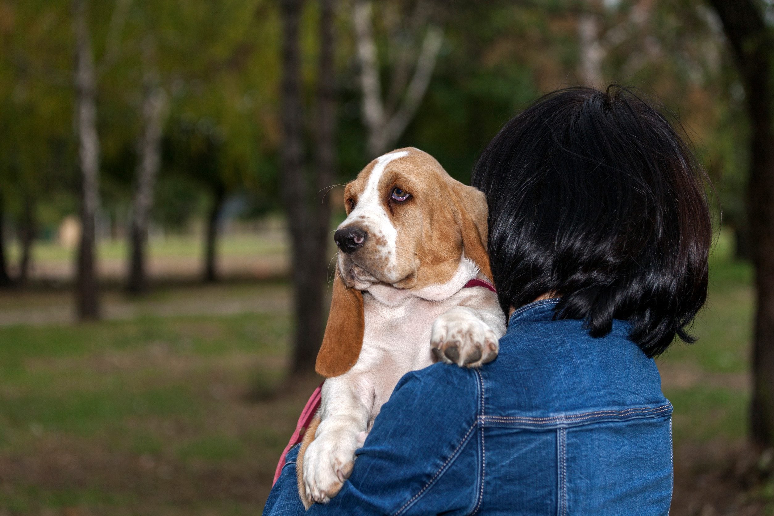 A person walking with their emotional support animal in Savannah, GA.
