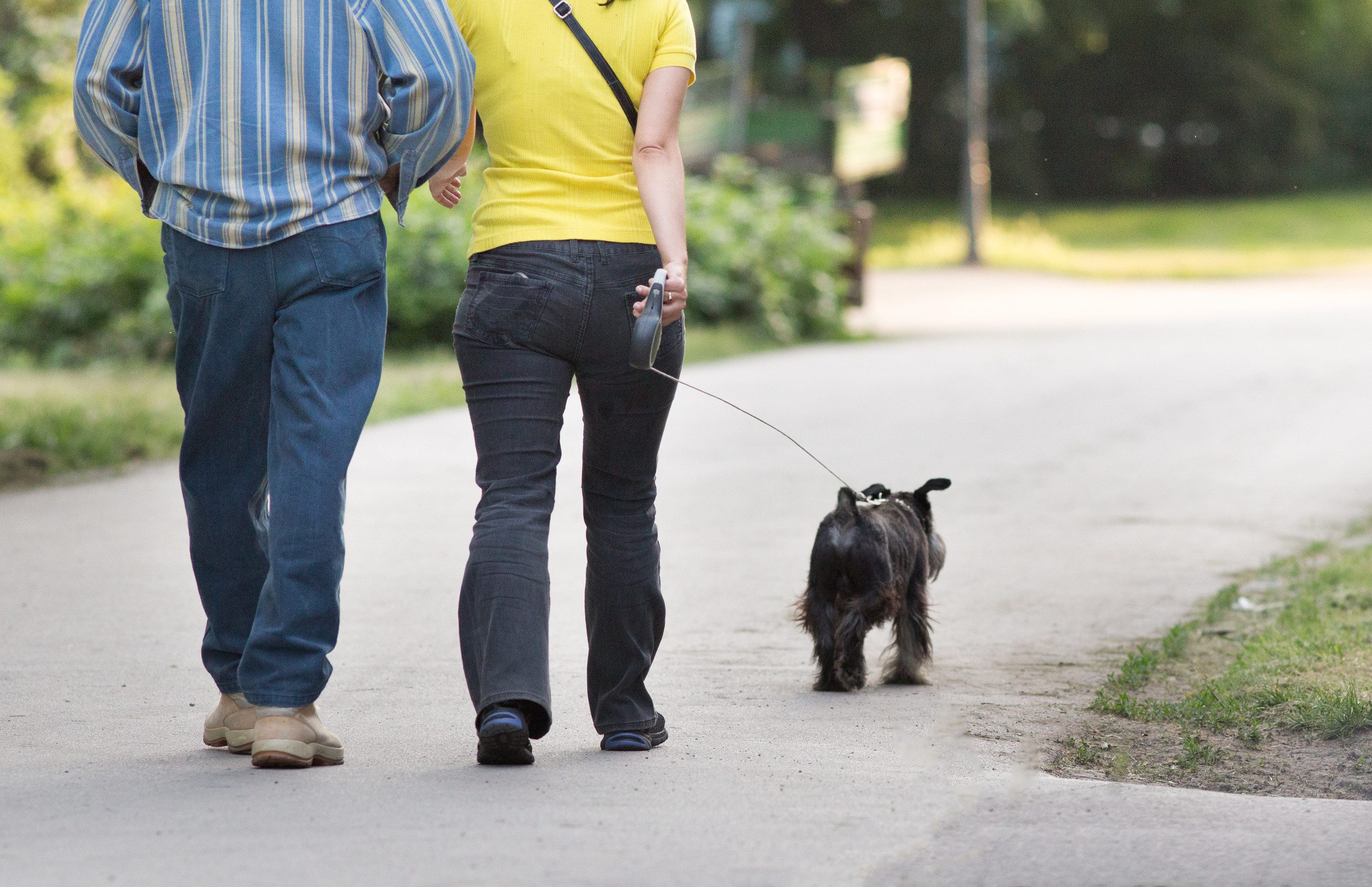 A dog owner that has an ESA letter walking their dog in Charleston.
