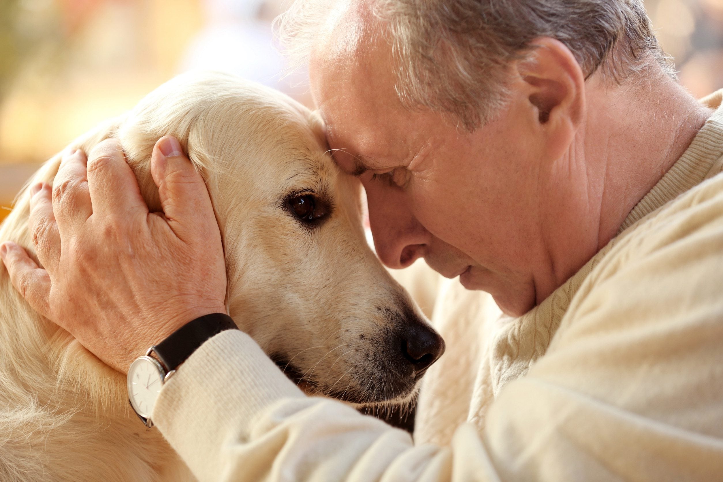 A man hugging his emotional support animal in Jersey City, NJ.
