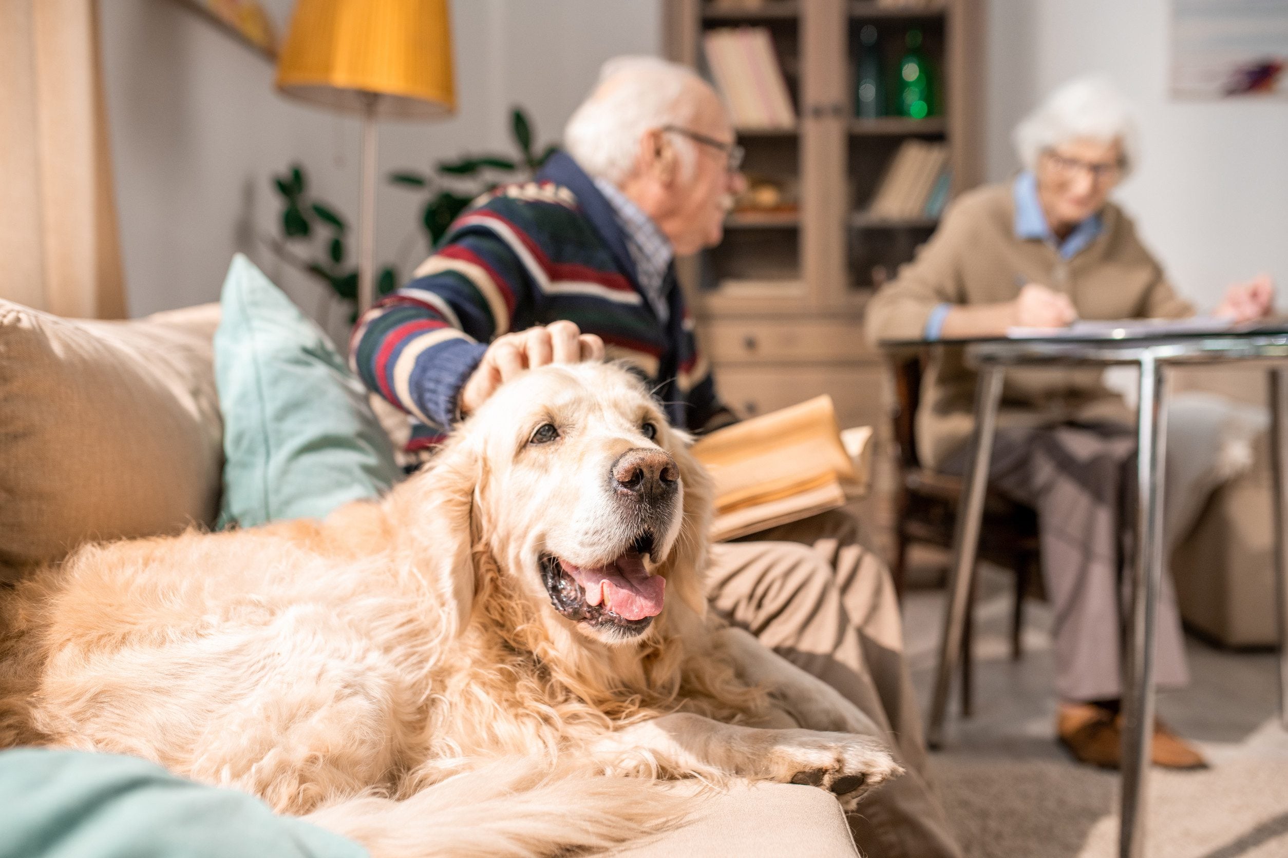 An old couple sitting in their living room with their emotional support animal in Vancouver, WA.