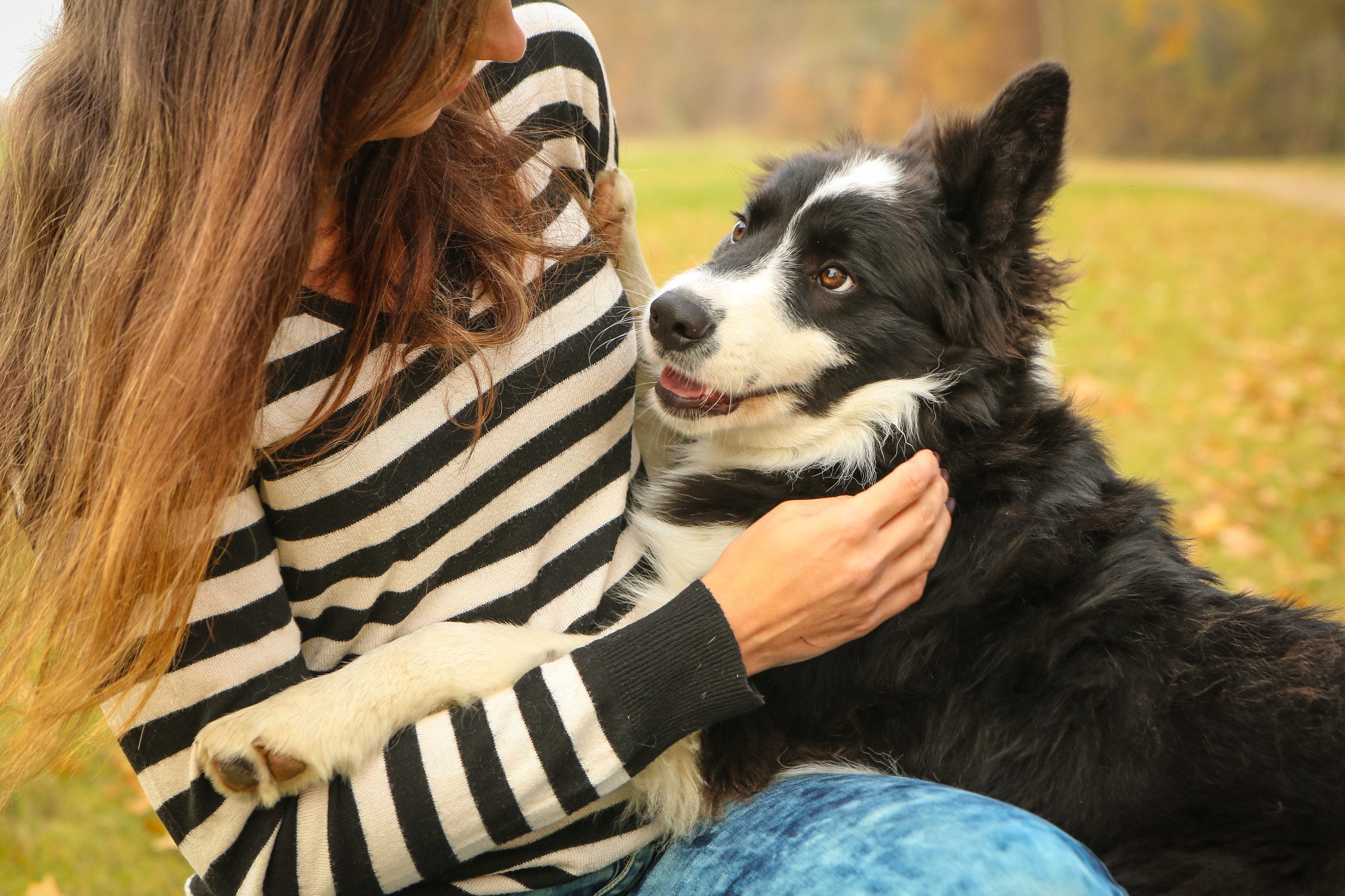 An owner and a border collie after finding out how to get an ESA letter in Garland.