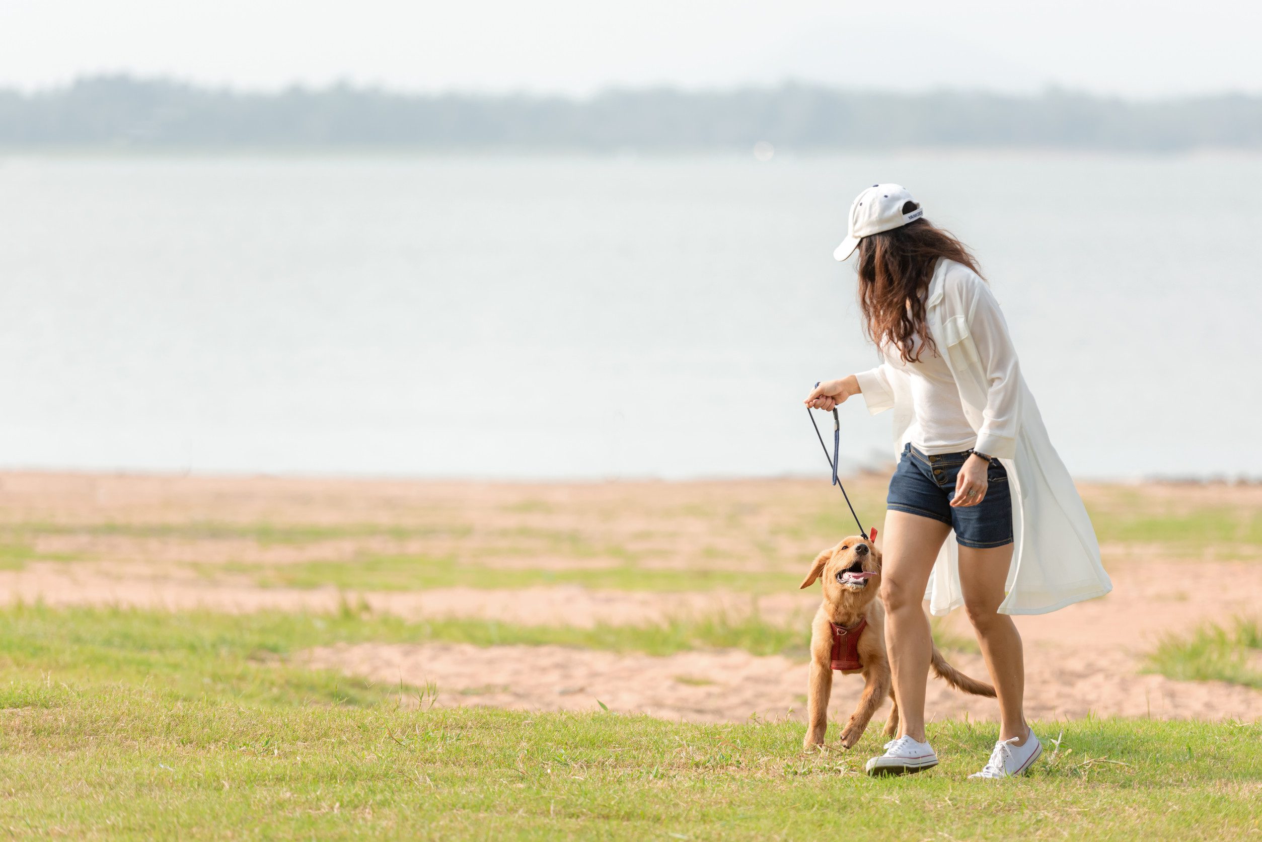 A woman in a white cardigan enjoying a lakeside stroll with her emotional support animal in Akron, OH.