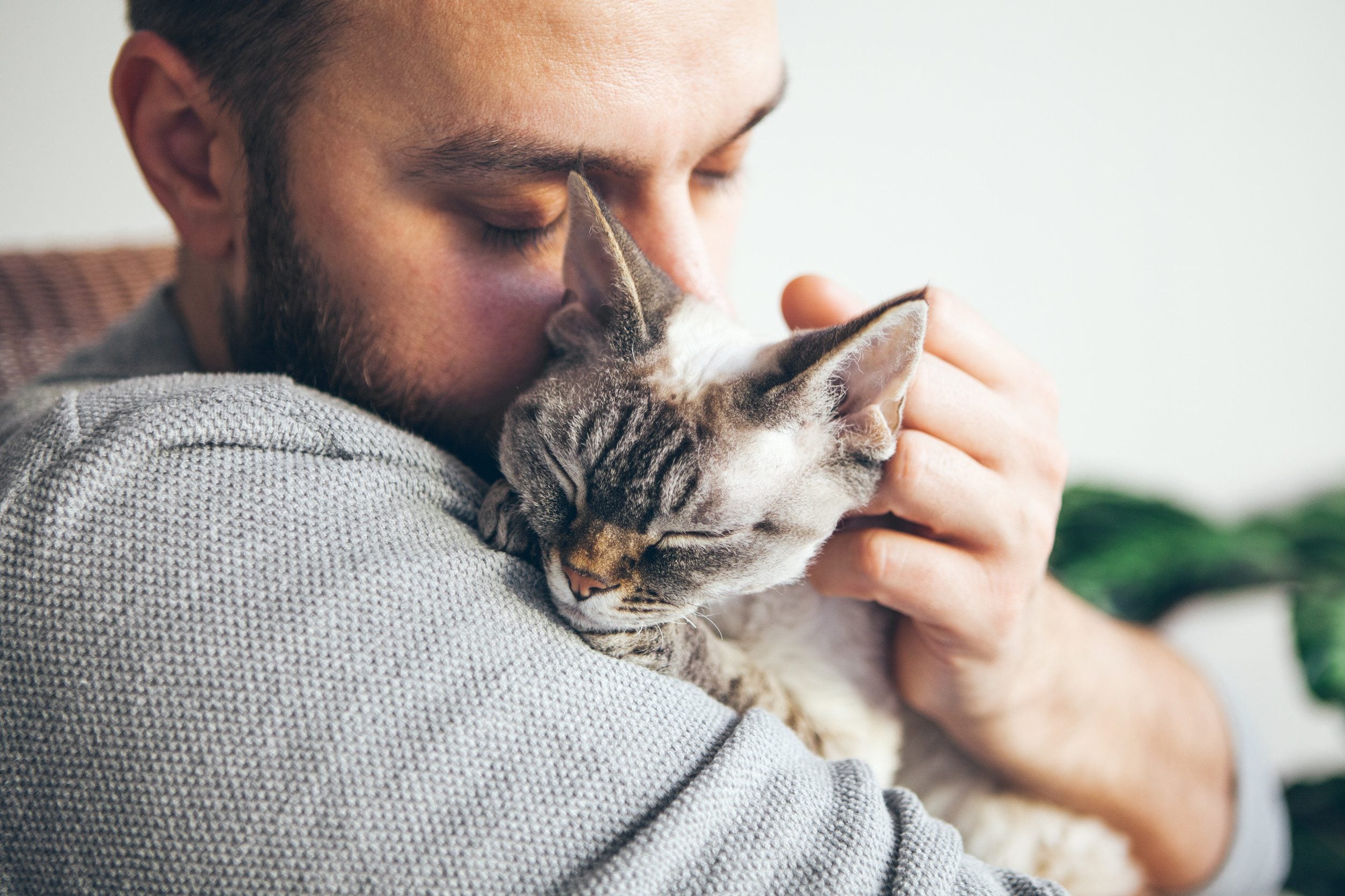 A man hugging his emotional support animal in Concord, NH.