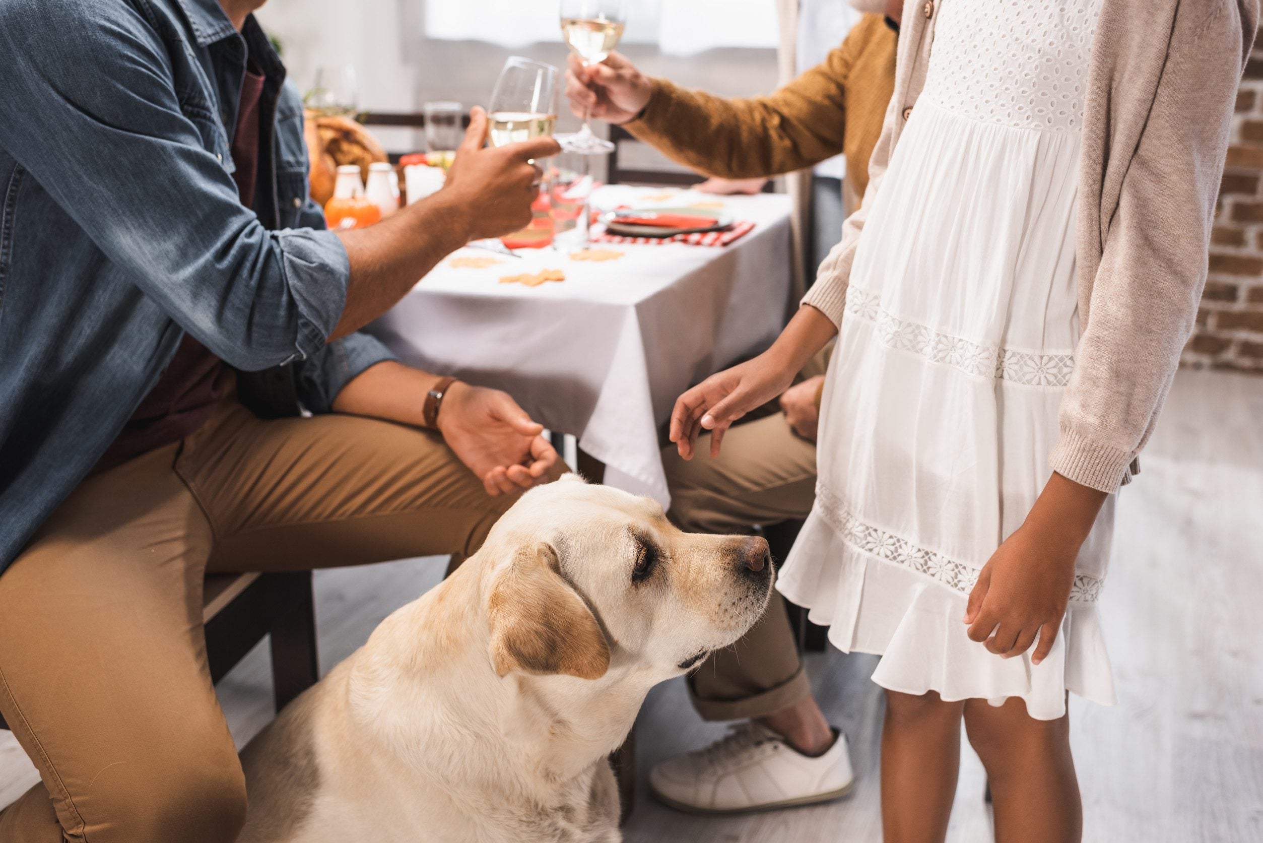 A psychiatric service dog with an ESA letter in Frisco at a restaurant.
