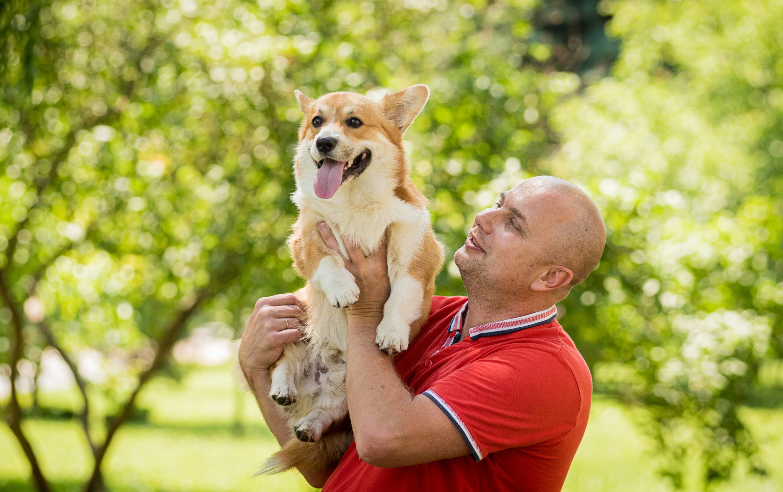 A man playing with his emotional support animal in a park in Richmond, VA.