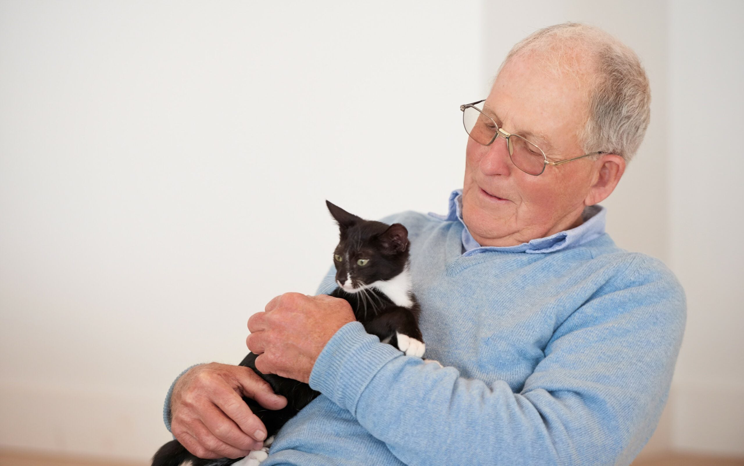 An elderly man gently holding his black-and-white emotional support animal in Toledo, OH.