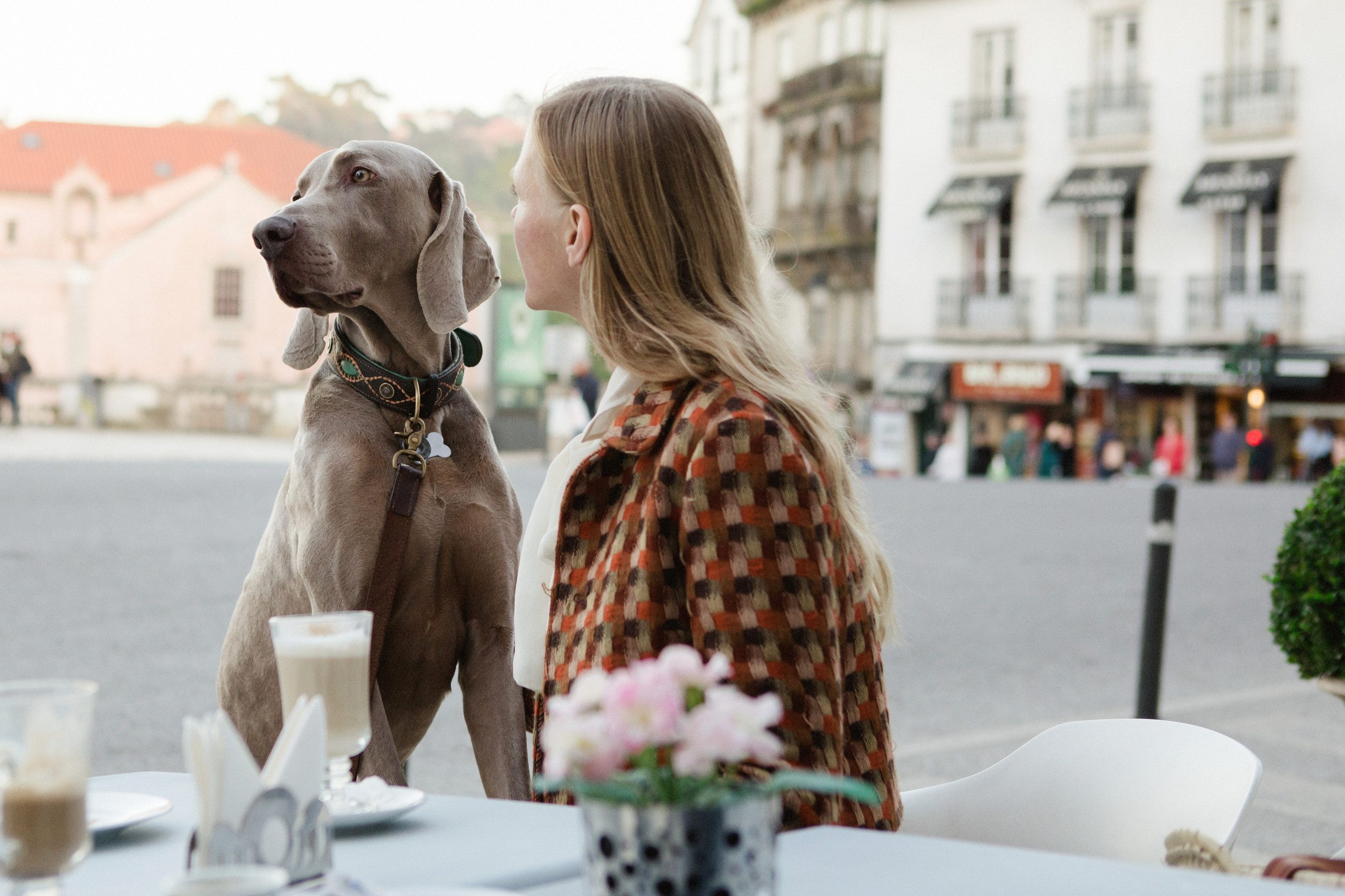 A woman sitting at an outdoor café with her emotional support animal in Buffalo, NY.