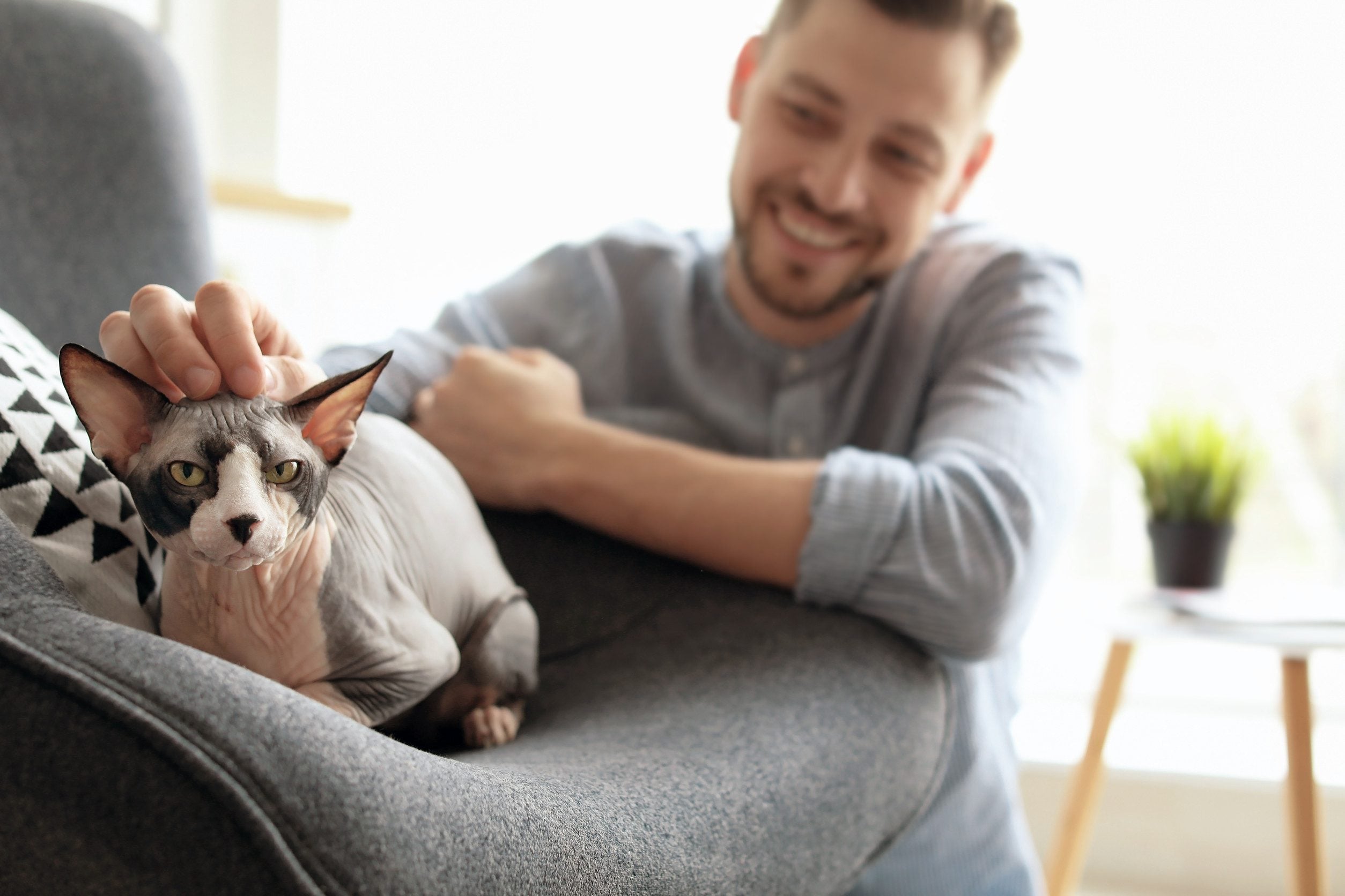 A man petting his emotional support animal in Fargo, ND.