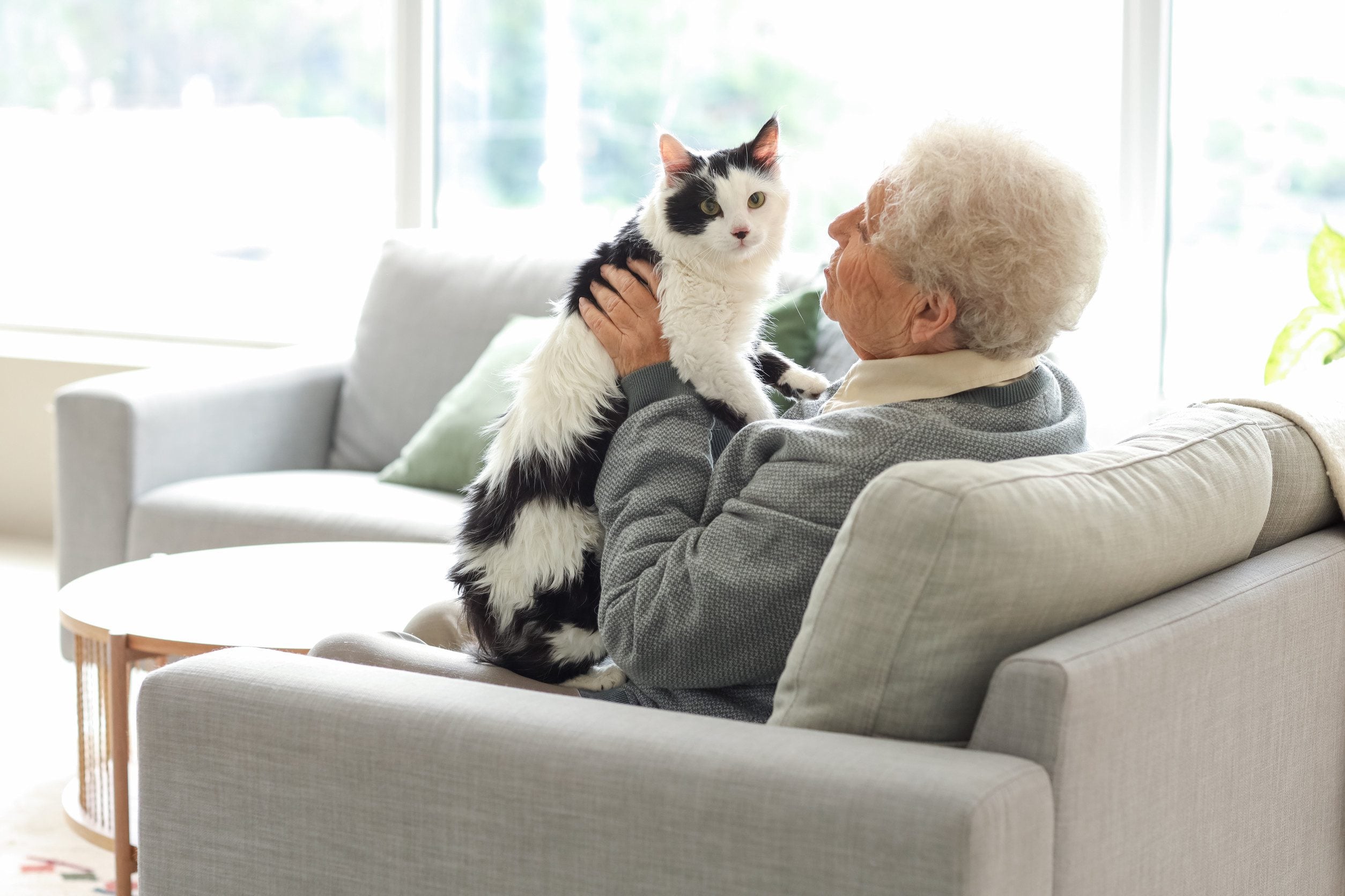 An older woman playing with her emotional support animal in Green Bay, WI.