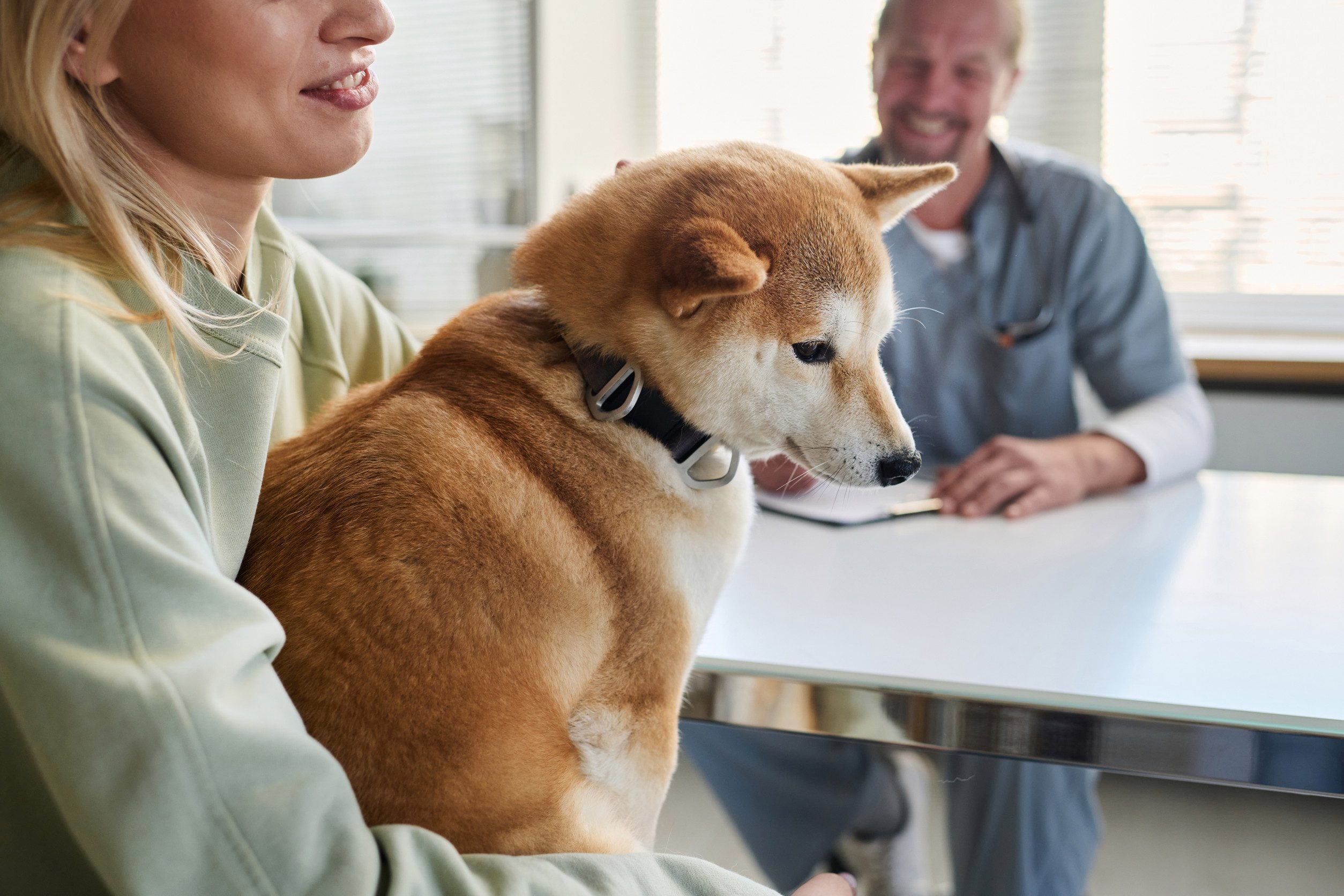 A person living in Laredo getting their ESA letter with a dog on their lap.