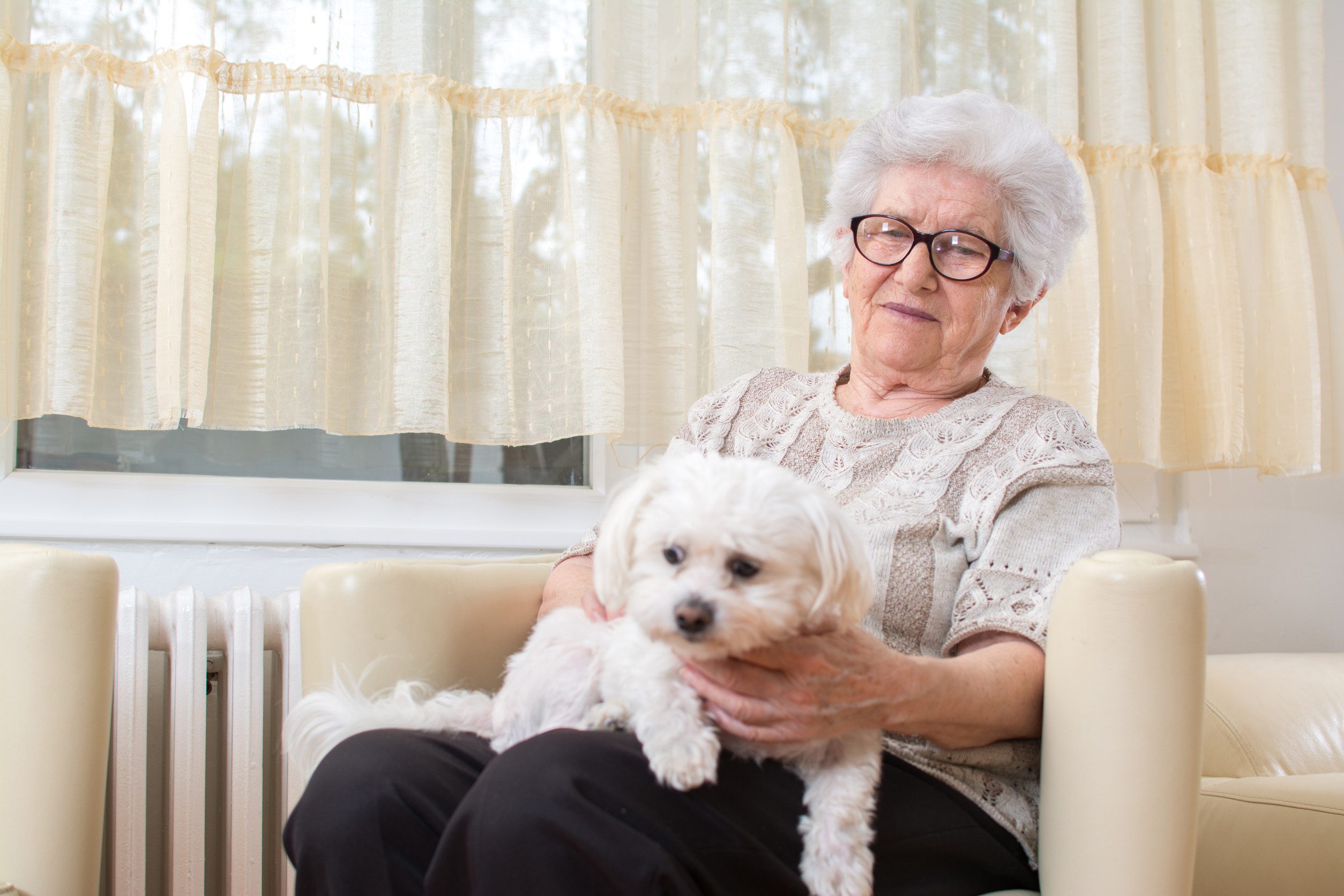 An older woman sitting with her emotional support animal in Clarksville, TN.