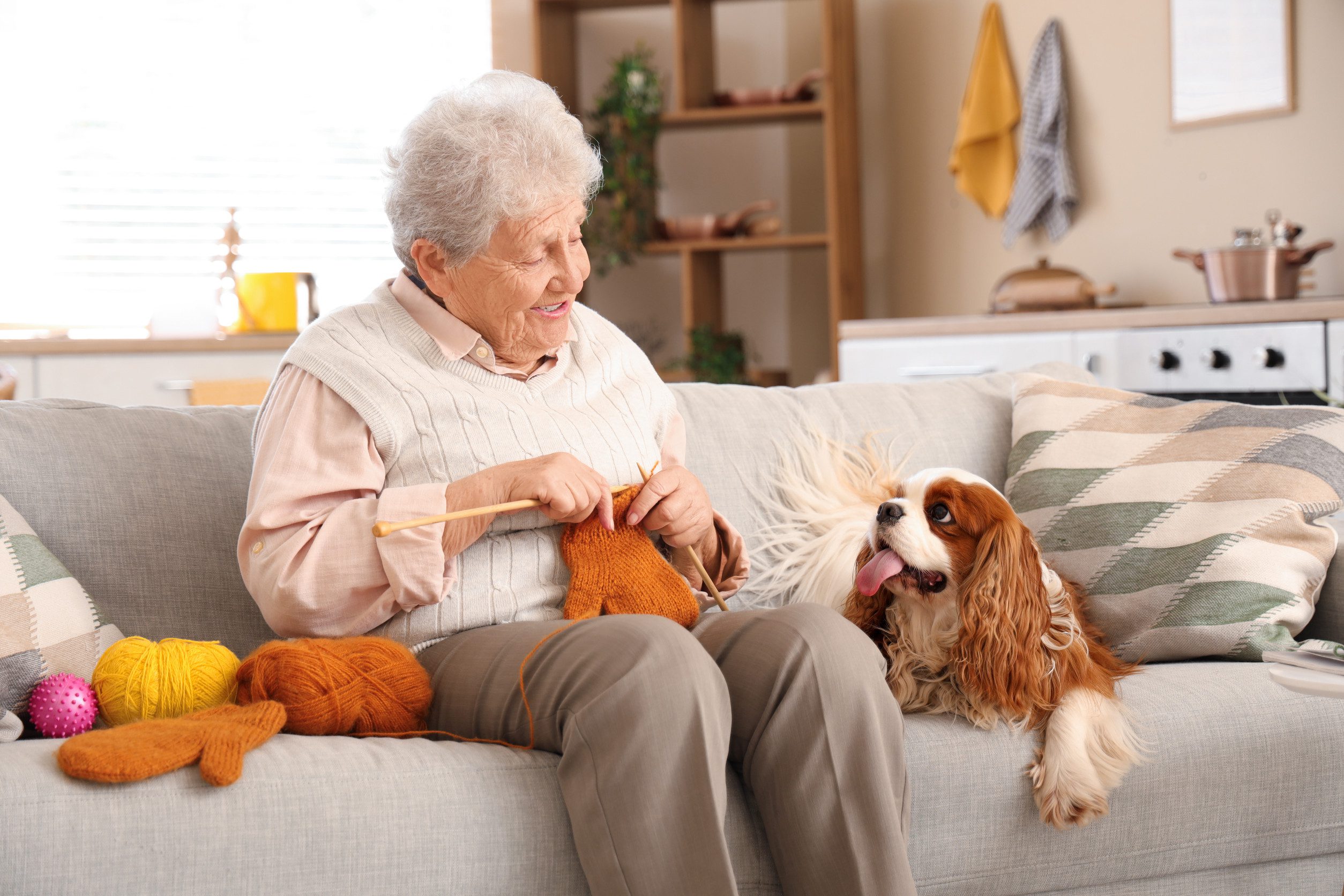 An older woman spending time with her emotional support animal in Memphis, TN.
