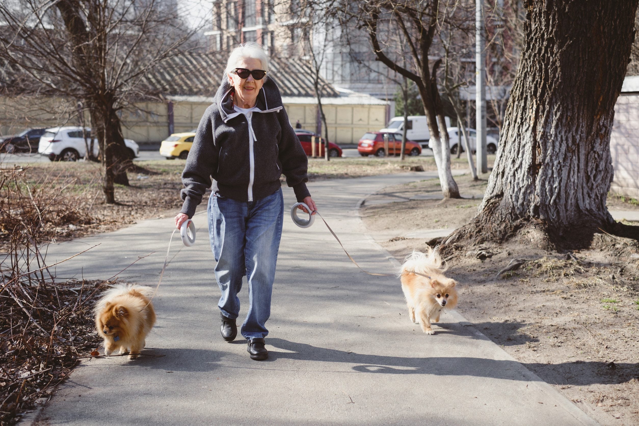 An elderly lady in Knoxville walking their two dogs with an ESA letter.