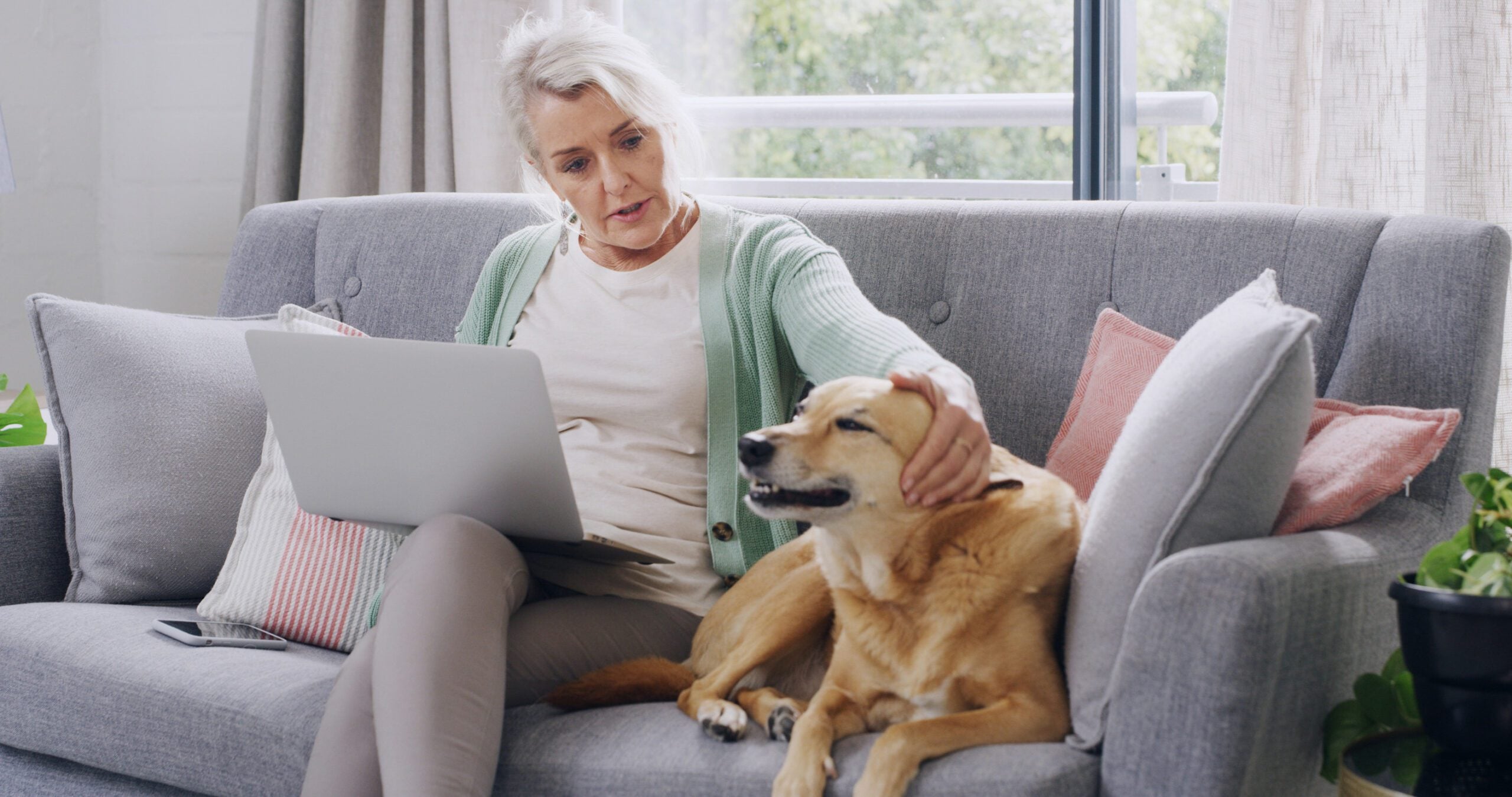 An emotional support animal helping their owner stay calm and focused while she works on her laptop in Burlington, VT.