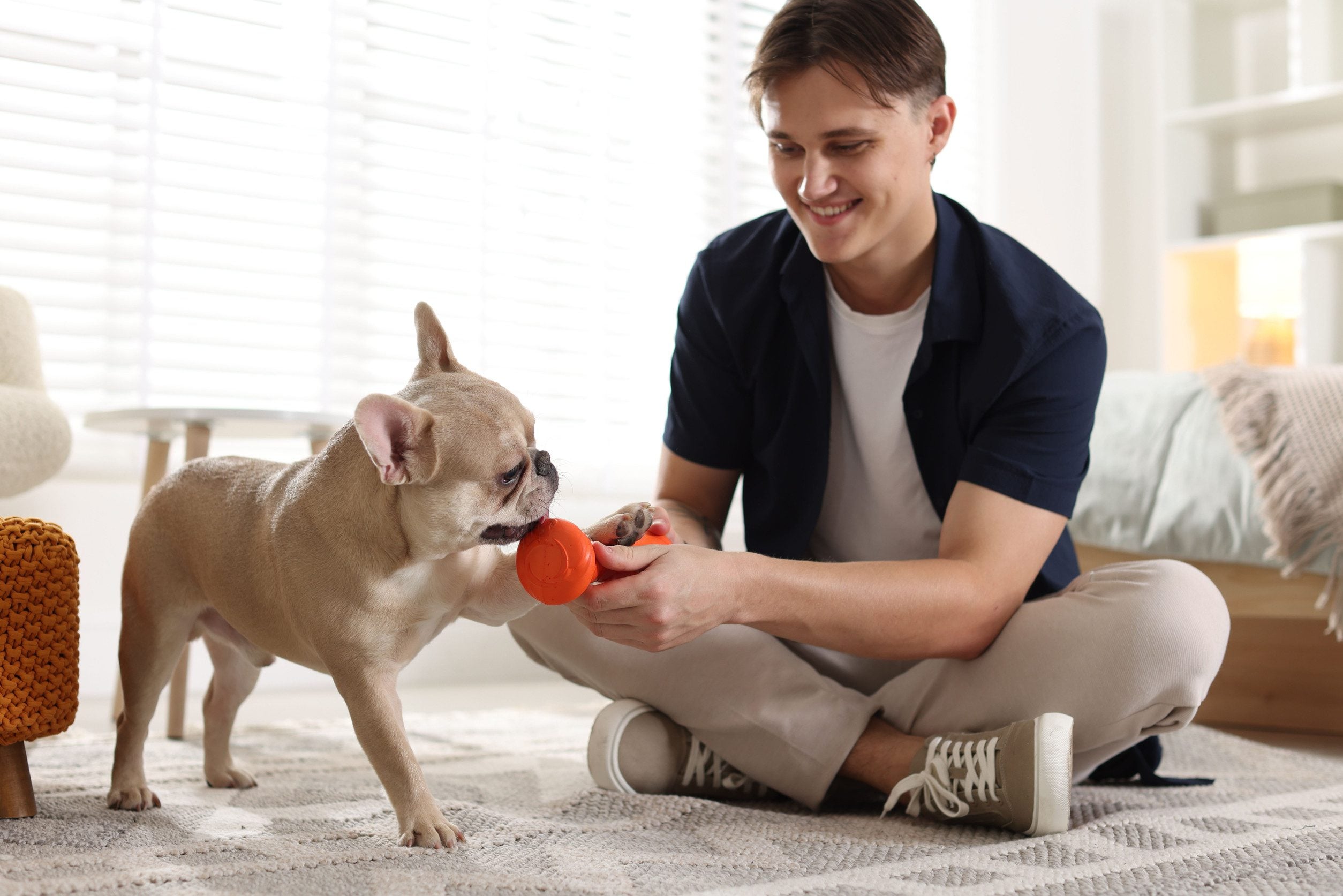 A man and his emotional support animal sitting on the floor and playing with an orange toy in Warwick, RI.