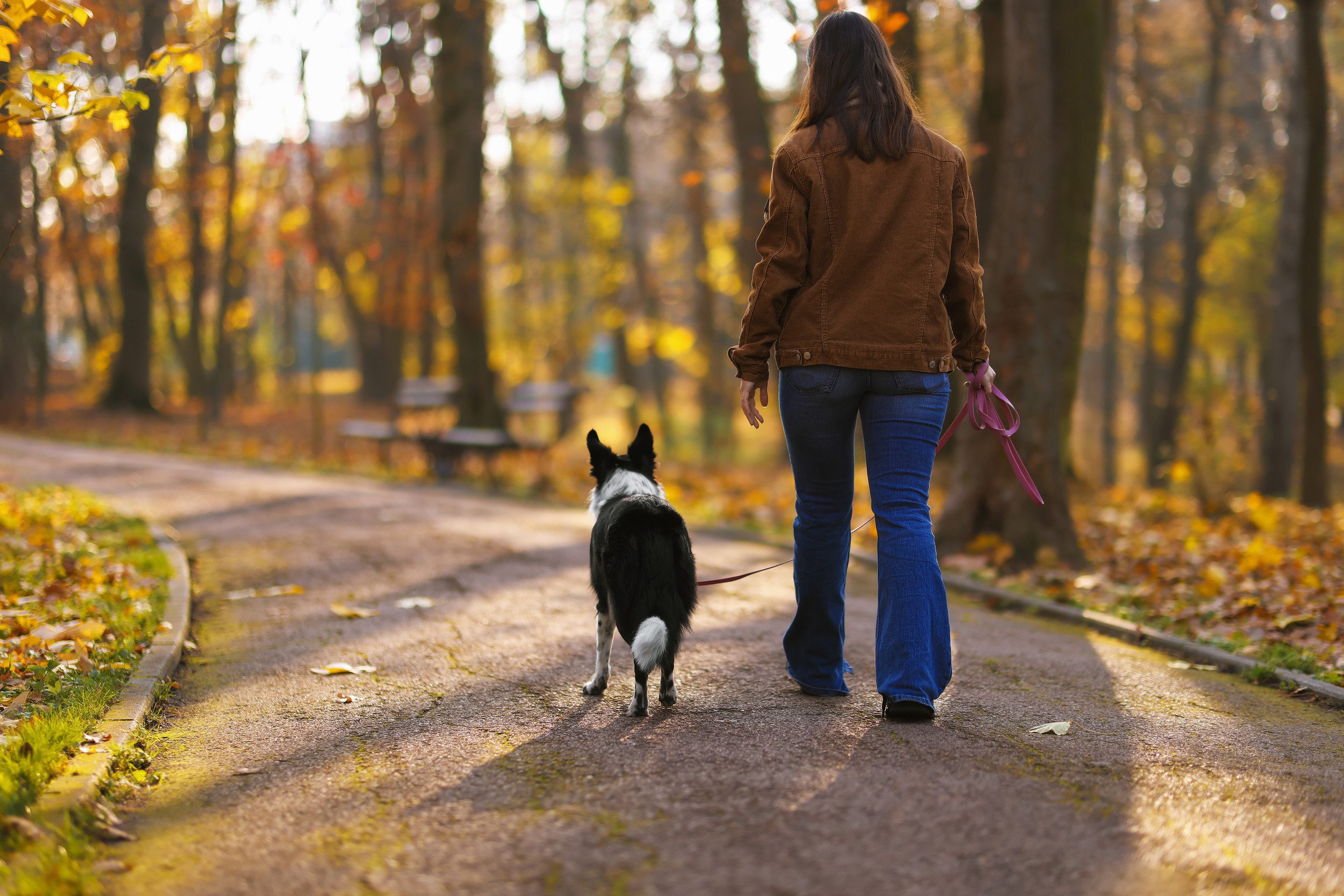 An owner who knows how to get an ESA letter in Lubbock walking their dog.]
