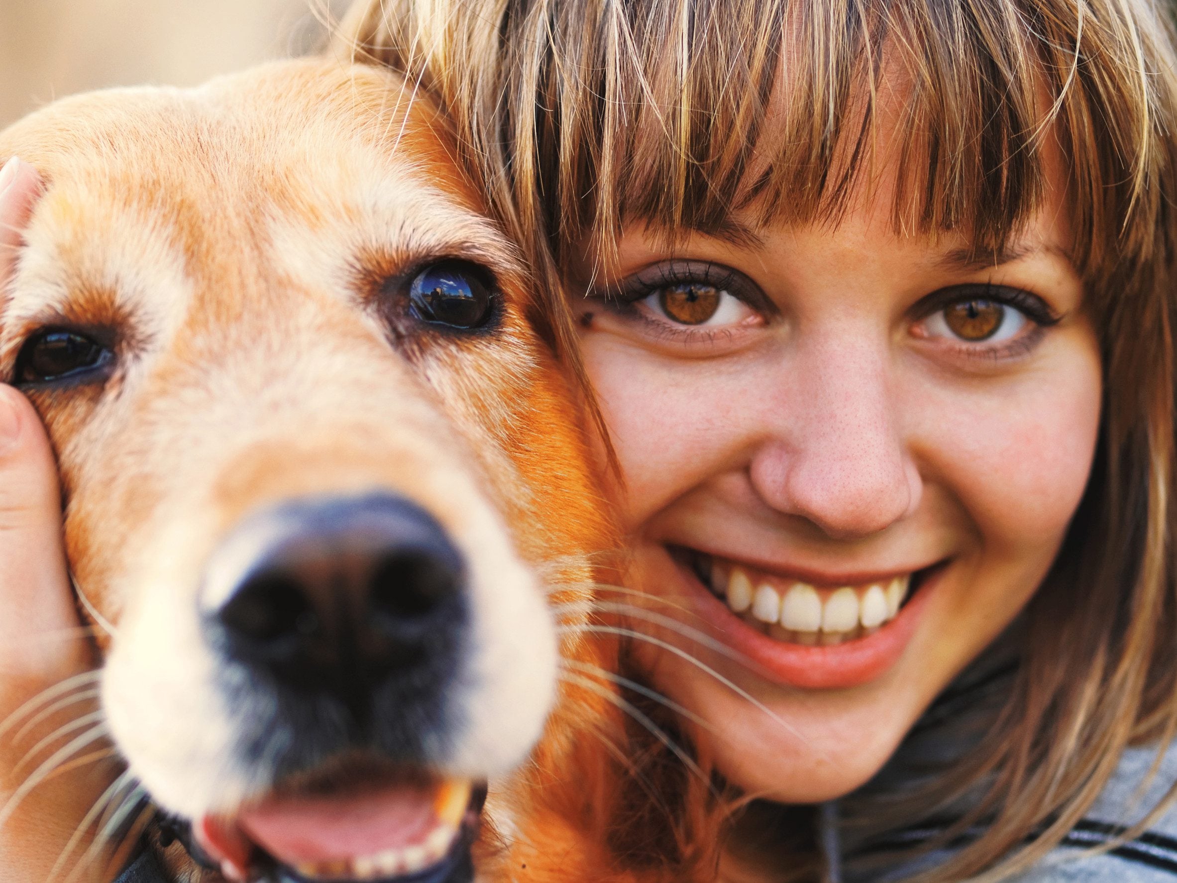 A woman hugging her emotional support animal in Yonkers, NY.