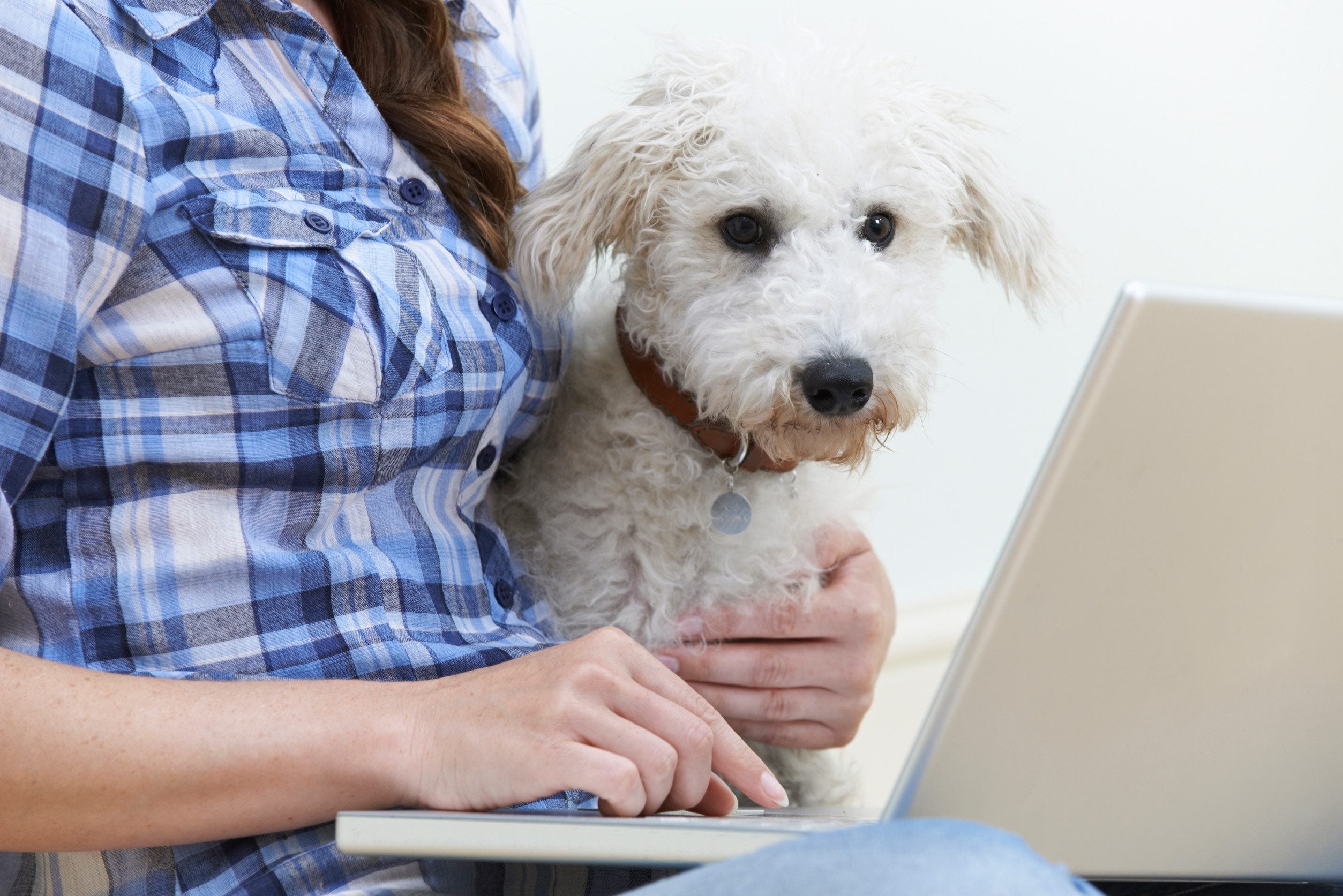 A dog owner holding their dog while learning how to get an ESA letter in Sioux Falls