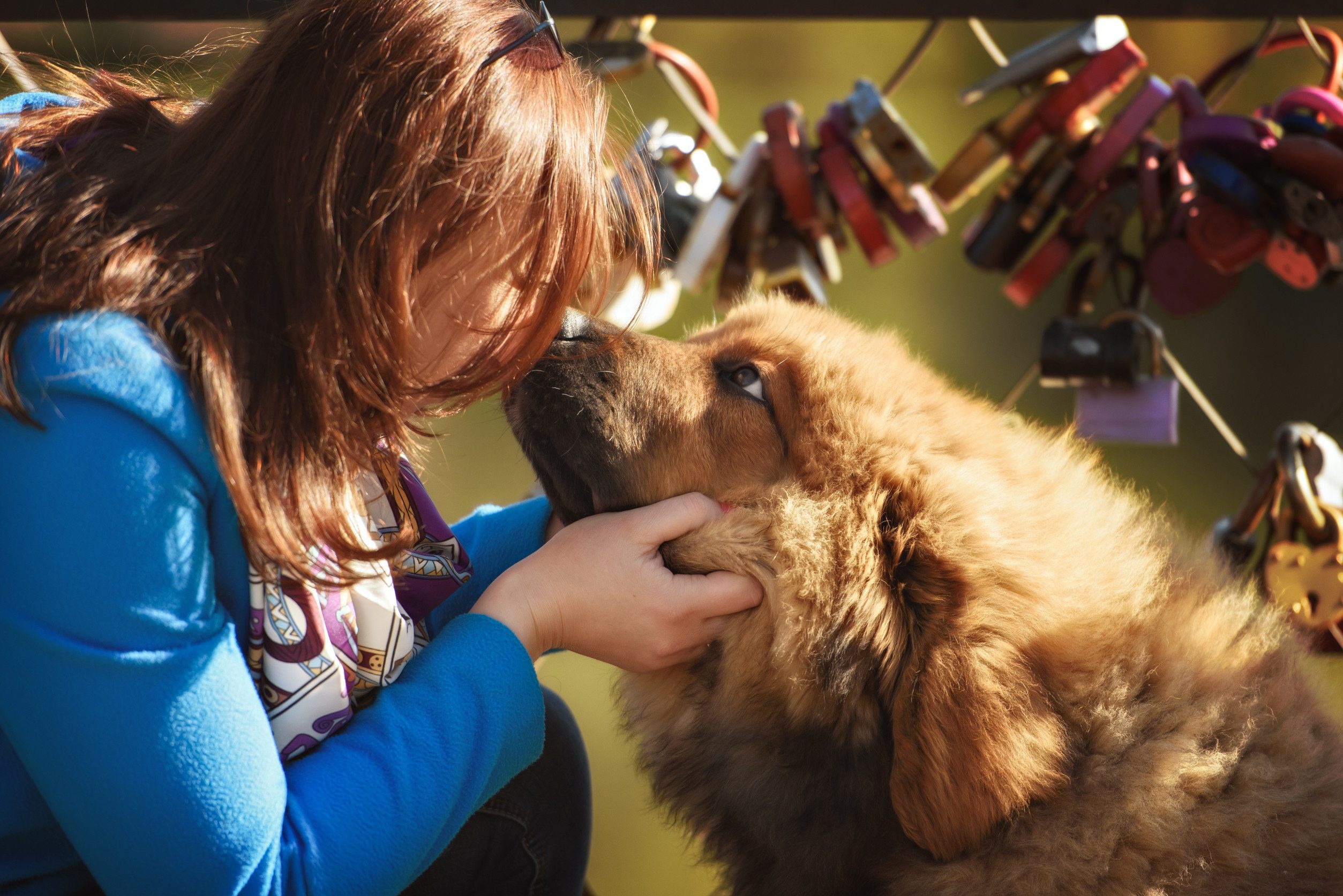 A woman hugging her Tibetan Mastiff after learning how to get an ESA letter in Providence.