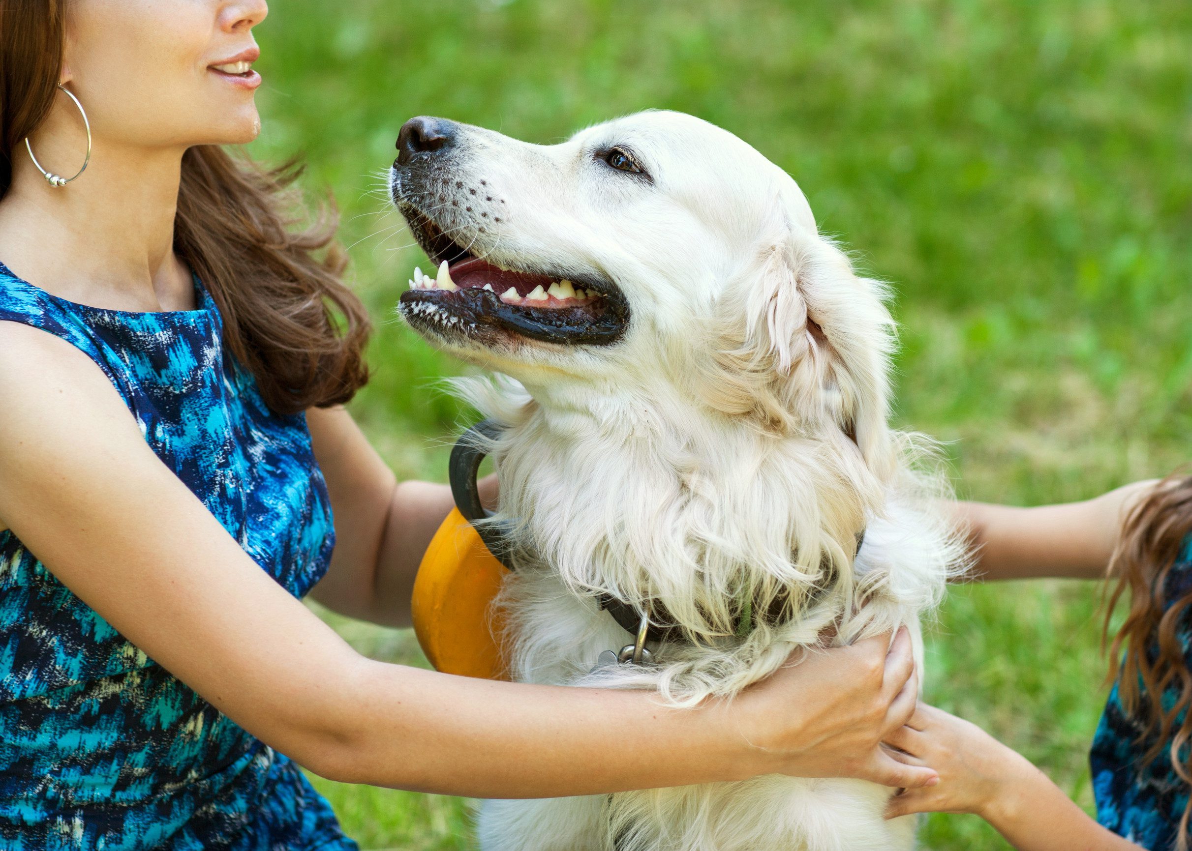 A woman playing with her emotional support animal in a park in Rio Rancho, NM.