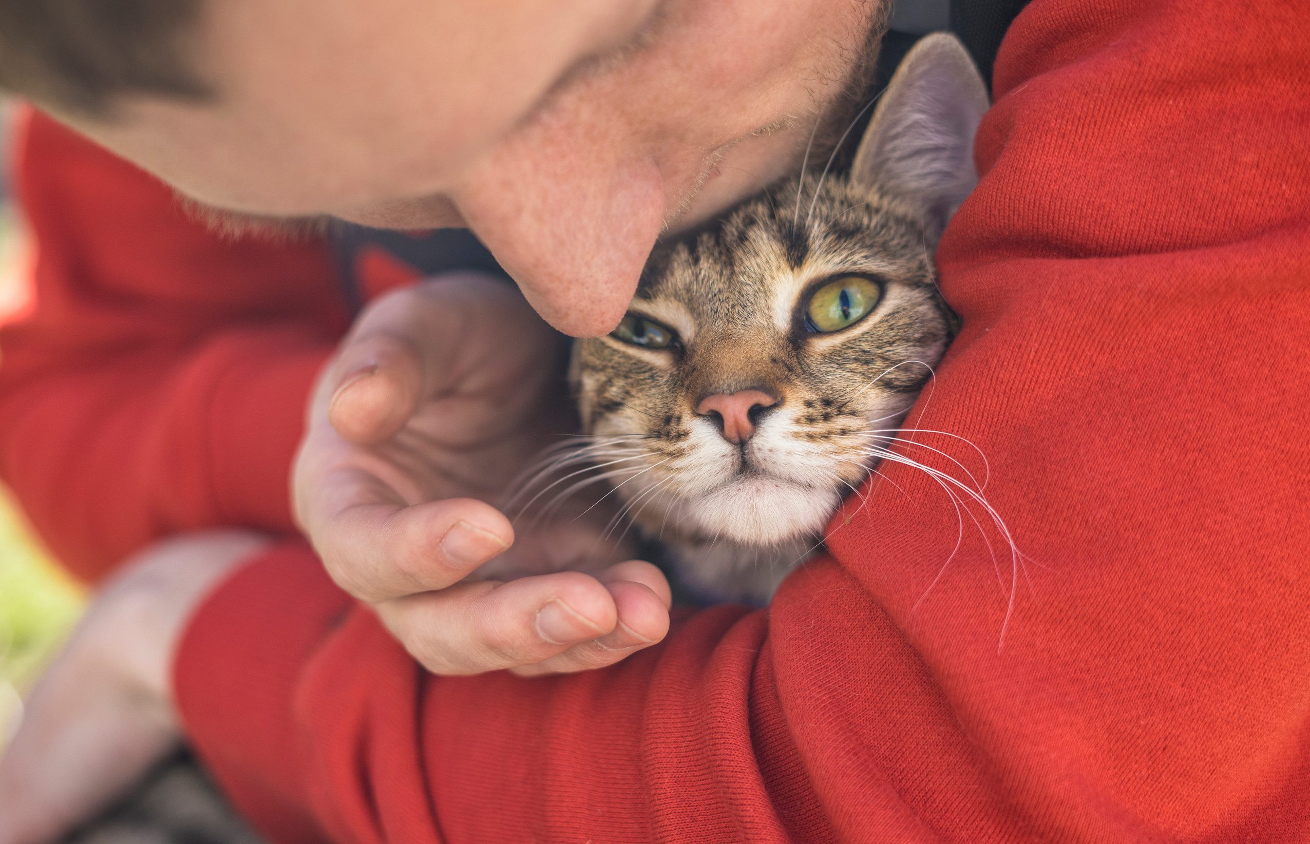A young man in a red sweatshirt kissing his emotional support animal in Memphis, TN.