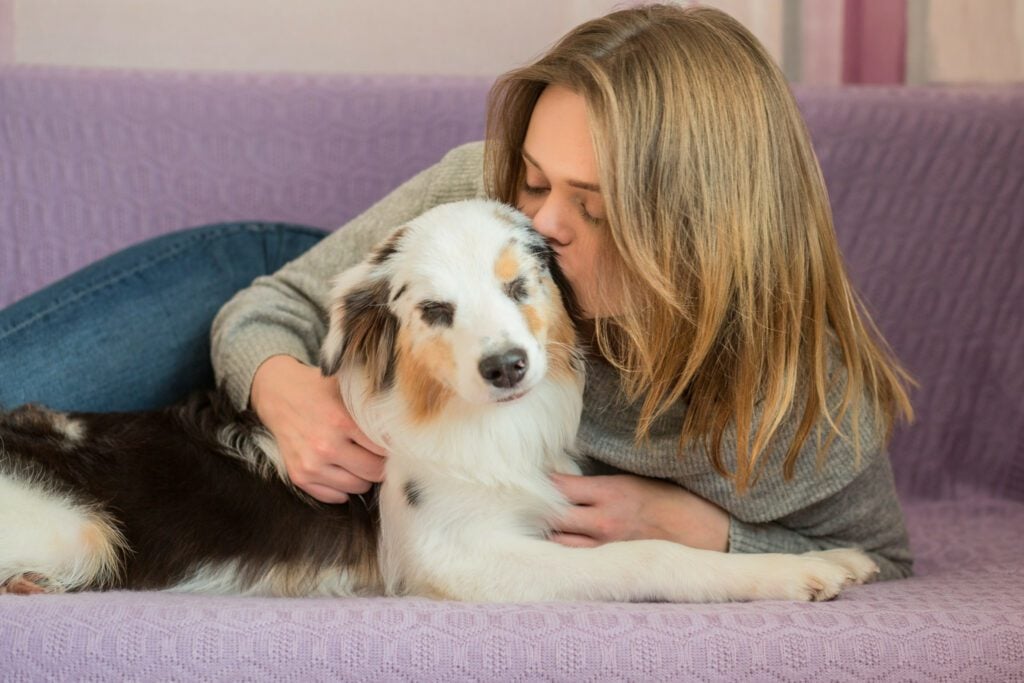 A woman lovingly kissing her Australian shepherd on a purple couch, while wondering, “can I get an ESA after I move in?”
