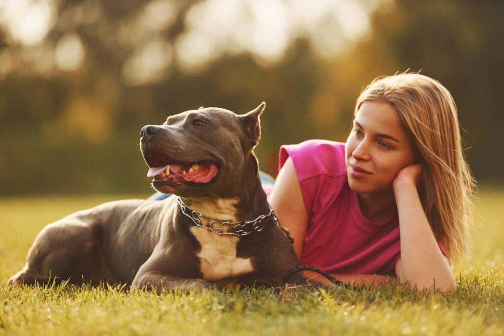 A woman lying down on the ground beside her ESA pit bull dog outdoors, while wondering do breed restrictions apply to ESAs?