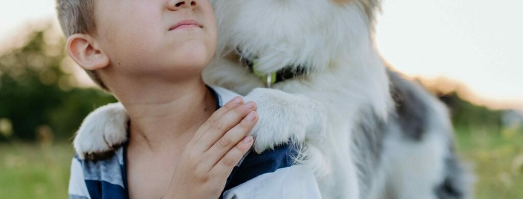 An autism service dog that was obtained by grants hugging a child.